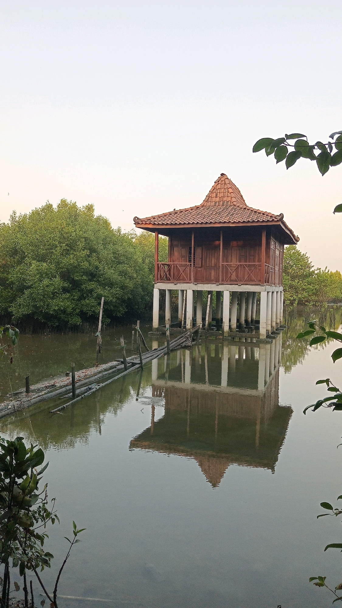 The image shows a wooden stilt house with a tiled, tiered roof, situated in a calm body of water surrounded by lush green trees. The house stands on cylindrical white stilts, and a rustic wooden walkway, partially submerged, leads to it from the left side of the frame. The tranquil water perfectly reflects the house and its surroundings, creating a symmetrical and serene scene. The sky above is a pale, soft hue, suggesting either early morning or late afternoon light. The overall environment appears to be a natural wetland or mangrove area. This scene is located in Manyarsidorukun, Indonesia. There are no people or animals visible in the image.