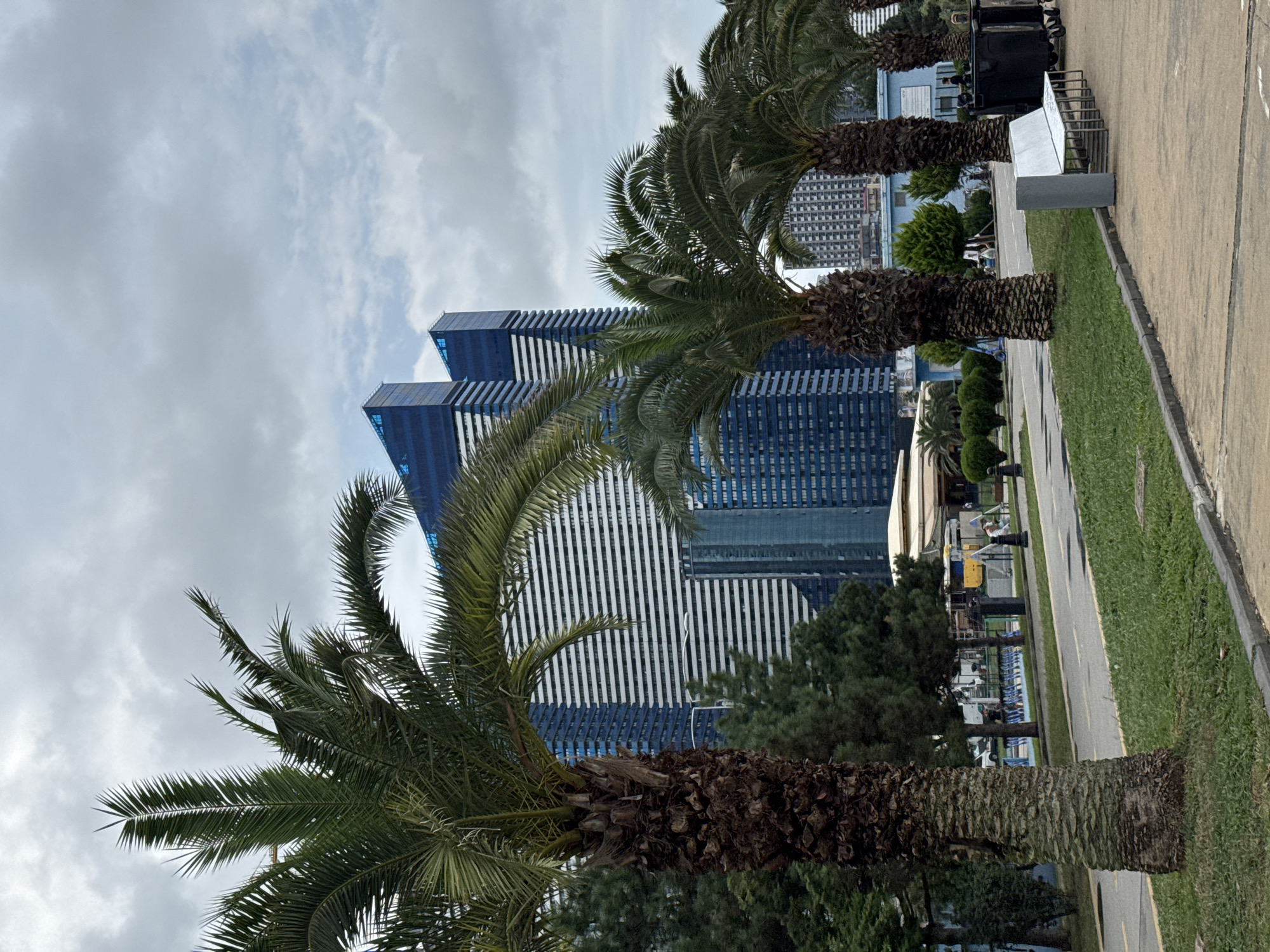 In Batumi, Georgia, the image captures a street scene dominated by palm trees in the foreground, with modern skyscrapers in the background. The skyscrapers are tall, rectangular buildings with blue facades and horizontal white stripes, indicative of contemporary architecture. Two prominent towers stand out, angled at the top, suggesting a unique design.
The foreground is lined with lush green grass and a paved walkway. Several large palm trees with textured, brown trunks are scattered along the walkway, their fronds reaching upwards. To the right of the walkway, a modern, silver bench is positioned near a row of large, black trash receptacles. Beyond the palm trees, a road is visible with white and yellow lane markings, and a few people are present in the mid-ground, appearing to be walking or resting. Some smaller trees and bushes are also part of the landscaping. The sky is overcast with grey clouds, indicating a cloudy day. The overall impression is one of an urban environment that incorporates natural elements like palm trees.
