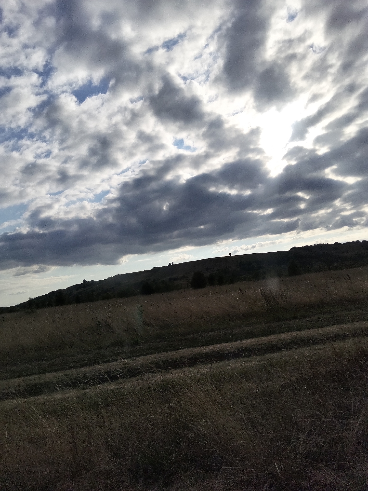 The image depicts a landscape scene with a focus on the sky and a distant rolling hills. The sky is filled with dramatic, dark gray clouds interspersed with patches of brighter sky where the sun is peeking through. The overall lighting suggests it may be late afternoon or early evening, with the sun creating a strong contrast between light and shadow in the clouds.
In the middle ground, there is a sloping hill covered in dark foliage, with a few scattered trees visible. The foreground consists of a field of dry, golden-brown grass, suggesting a dry or late-season environment. A faint dirt track or path is visible traversing diagonally across the field. There are no people or animals visible in the scene, and no explicit actions or interactions are depicted. The environment appears to be rural and natural, possibly an open field or meadow adjacent to rolling hills.
The location is identified as Ustyvytsya, Ukraine. This specific image captures a natural landscape element within that geographic area.