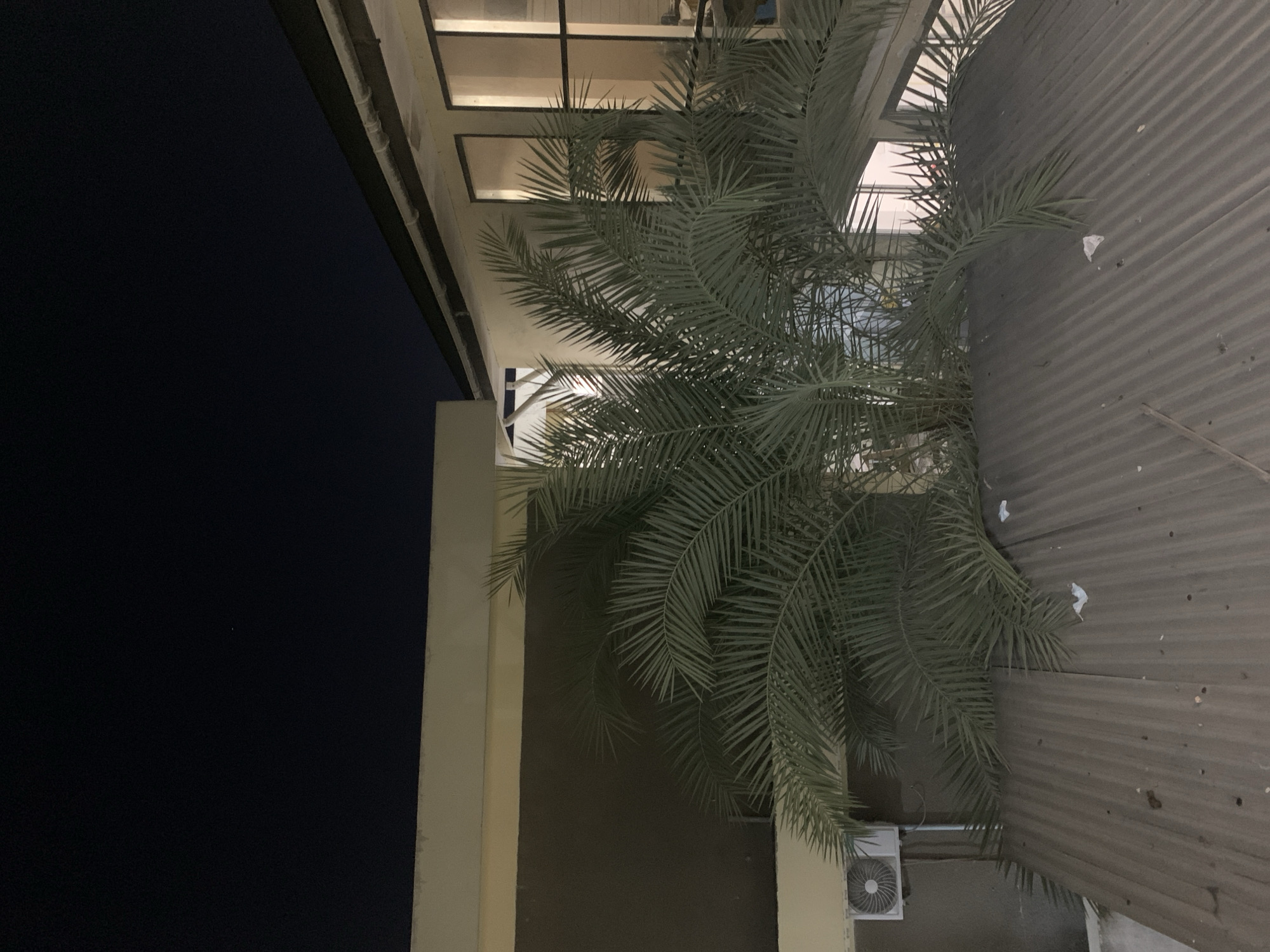 The image depicts a building at night. The facade features a dark sky backdrop on the left, contrasted by a light-colored column and a gray wall. A palm tree is prominently featured, its fronds overlapping the architectural elements. Windows with visible interior lighting punctuate the upper portion of the building. An air conditioning unit is mounted near the base of the building. The scene is dimly lit, and the angle suggests the image was taken from below or at a tilted perspective. The location cannot be definitively determined as Dar es-Salaam, Tanzania, based solely on this image.