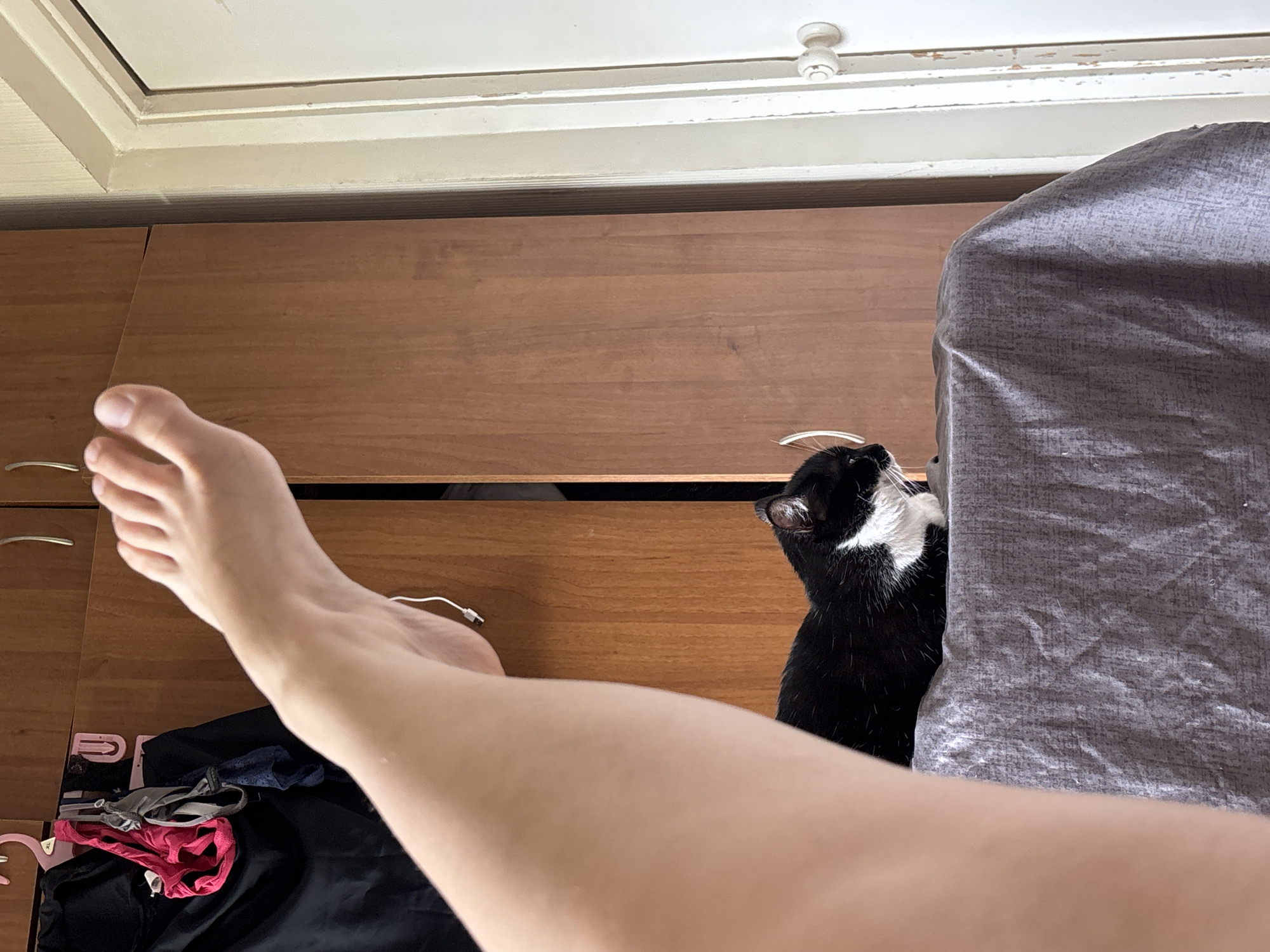 The scene depicts an indoor domestic environment, located in Kyiv, Ukraine. In the foreground, a bare, light-skinned human leg and foot extend diagonally from the lower left towards the upper center. A white charging cable, identifiable by its USB-A connector, is visible hanging near the foot/ankle area. In the midground, a black and white tuxedo cat is resting on a textured, greyish-purple fabric draped over an unseen surface, with its head turned to the right. The cat exhibits a prominent white muzzle, chest, and paws. The background features two light brown wooden wardrobe or cabinet doors occupying the central and upper portions of the image. To the far left, several garments including a black item, a bright pink undergarment, and a grey/blue undergarment are hanging on hooks, along with a pink plastic hanger marked "XL". To the far right, a white door frame and a section of a white door with a round white doorknob are visible, exhibiting some wear and chipped paint on the frame. The lighting suggests natural illumination.