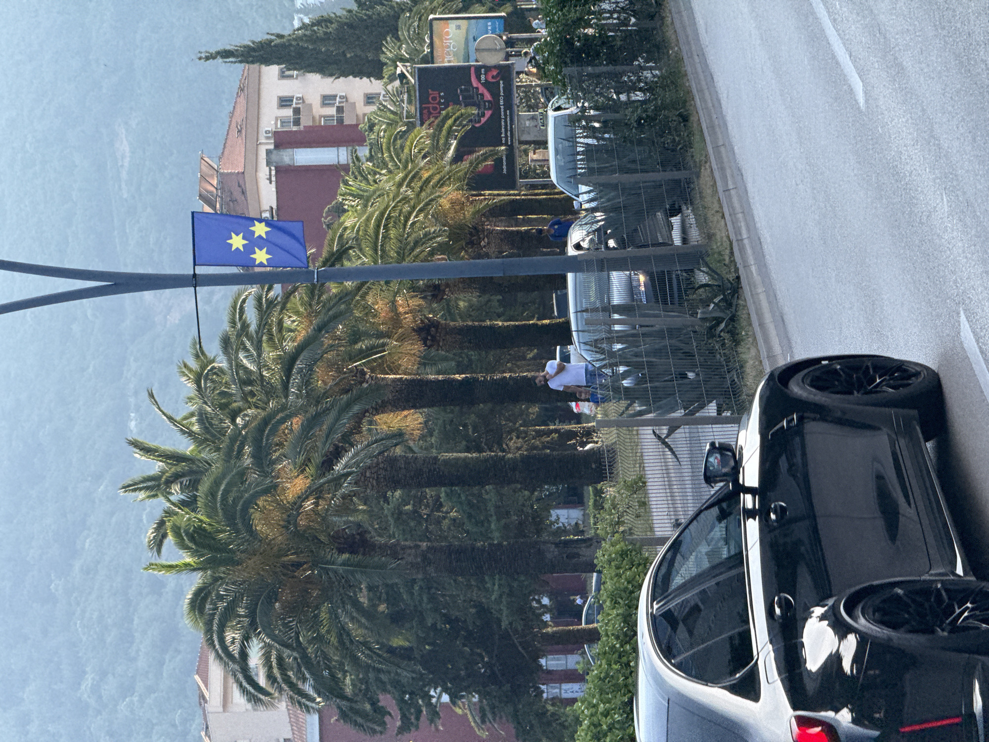 The image depicts a vibrant daytime street scene in Budva, Montenegro. In the immediate foreground, the side and rear wheel of a black car are visible on a paved road with a white dashed line marking.
A central feature of the scene is a row of tall palm trees lining what appears to be a street or promenade. Behind these palm trees, a metal fence separates the public space from an area where several cars are parked, including a white van with a "TAXI" sign on its roof. A person wearing a white t-shirt and blue shorts is seen pushing a cart or trolley behind the fence.
Attached to a pole, prominently displayed, is a rectangular blue flag featuring three yellow stars arranged in a triangular pattern. This is the municipal flag of Budva.
In the mid-ground, two billboards are partially visible through the palm fronds. One billboard has text that includes "Radar" and "Jadran d.o.o. - Web Design and SEO Premium." Another sign above it contains the partial word "negro."
The background reveals multi-story buildings with reddish roofs and numerous windows, many equipped with air conditioning units. Beyond the buildings, distant hills or mountains are visible under a clear, light blue sky, indicating fair weather. The setting suggests a warm, sunny day in a coastal town.