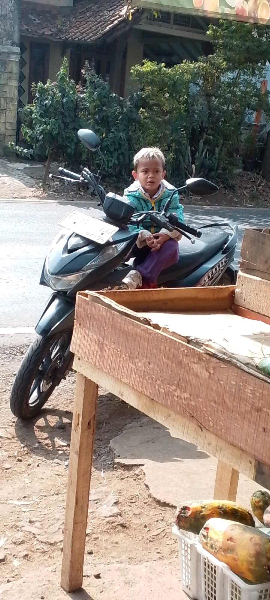 A young boy with light-colored hair sits on a dark-colored motorcycle parked on the side of a street in Cilaku, Indonesia. The boy is wearing a teal jacket with a yellow collar and purple pants. He is looking towards the viewer with his hands clasped in front of him. The motorcycle has a license plate and mirrors. In the foreground, a wooden display stand is positioned in front of the motorcycle. The stand is filled with papayas in a white plastic basket. Behind the motorcycle, a building with a tiled roof and dense green foliage are visible. The ground is a mix of dirt and pavement.