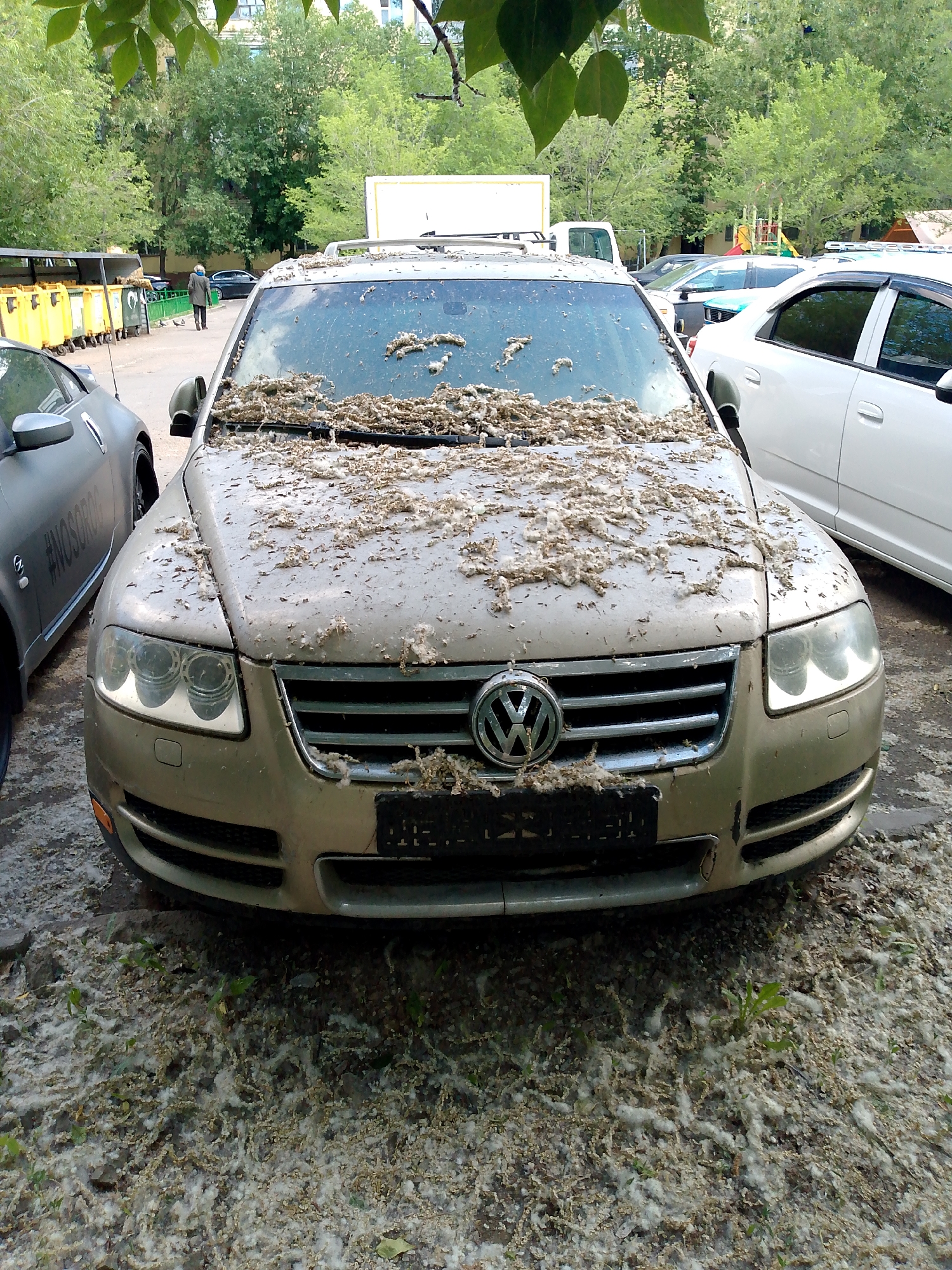 Memory