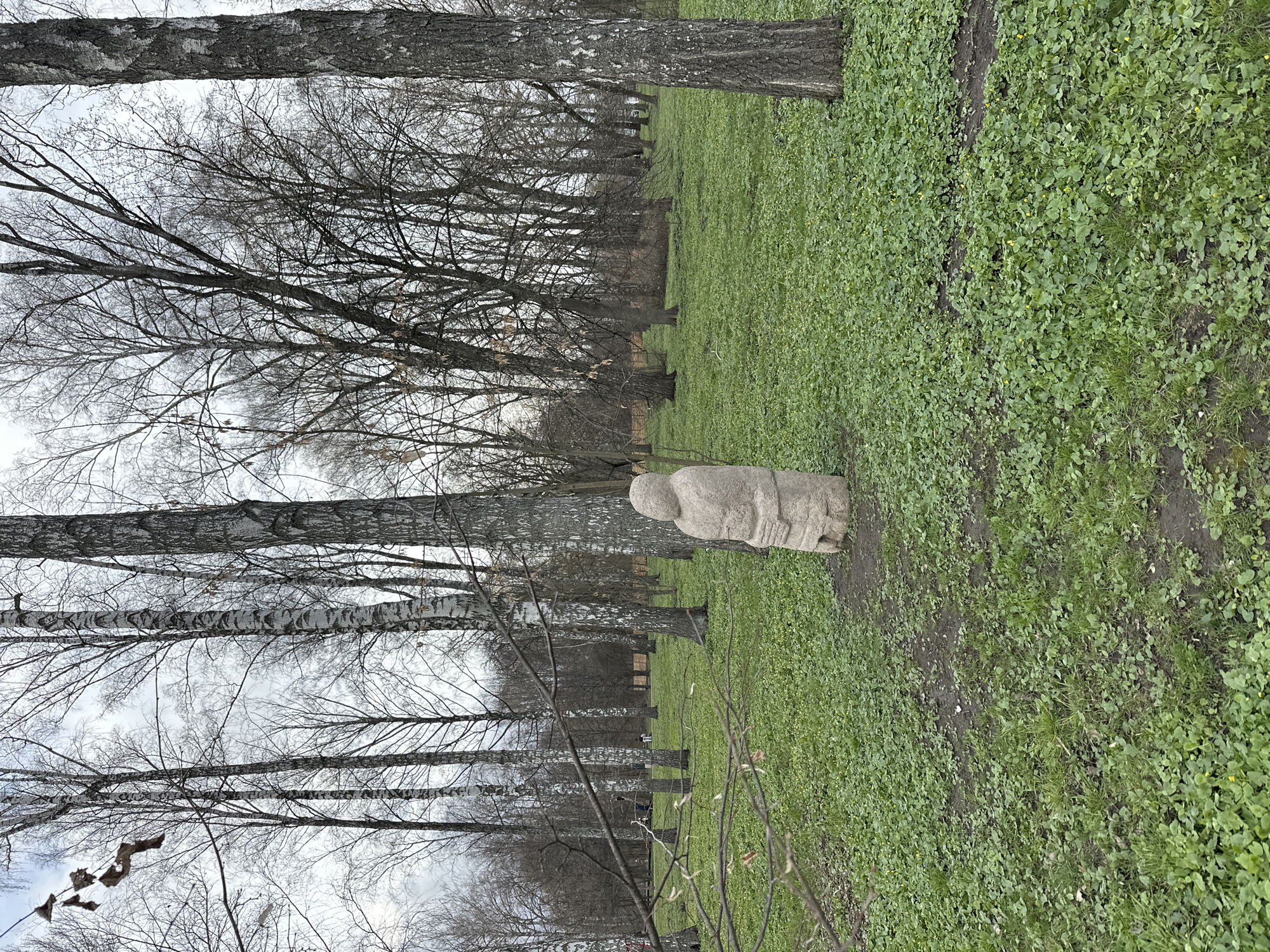 The image depicts a park in Kursk, Russia. It is likely late fall or early spring as the trees are bare of leaves, and the ground is covered in a mix of green vegetation and bare earth. The park consists of a row of birch trees stretching into the distance. Standing on the grassy area is a stone statue of a person. There are no other people visible in the image, but in the middle of the photo, benches are placed near trees.