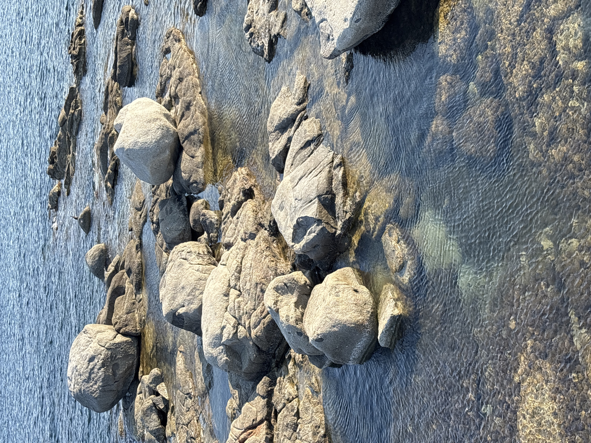 A low-angle, full shot captures a rocky coastline with clear, shallow water gently lapping against large, weathered stones. The water is a deep blue, with subtle ripples reflecting the sunlight. The rocks are a mixture of smooth, rounded boulders and rougher, angular formations, many partially submerged. In the distance, more rocks jut out of the water, creating a jagged horizon line against the blue sea. A small, dark bird stands on a rock in the far distance. The image is devoid of human presence. The scene depicts a natural coastal environment with clear water and large rock formations. This type of coastal scenery is typical of the Cap Roig area in Calella De Palafrugell, Spain, known for its rugged shoreline and clear Mediterranean waters.
