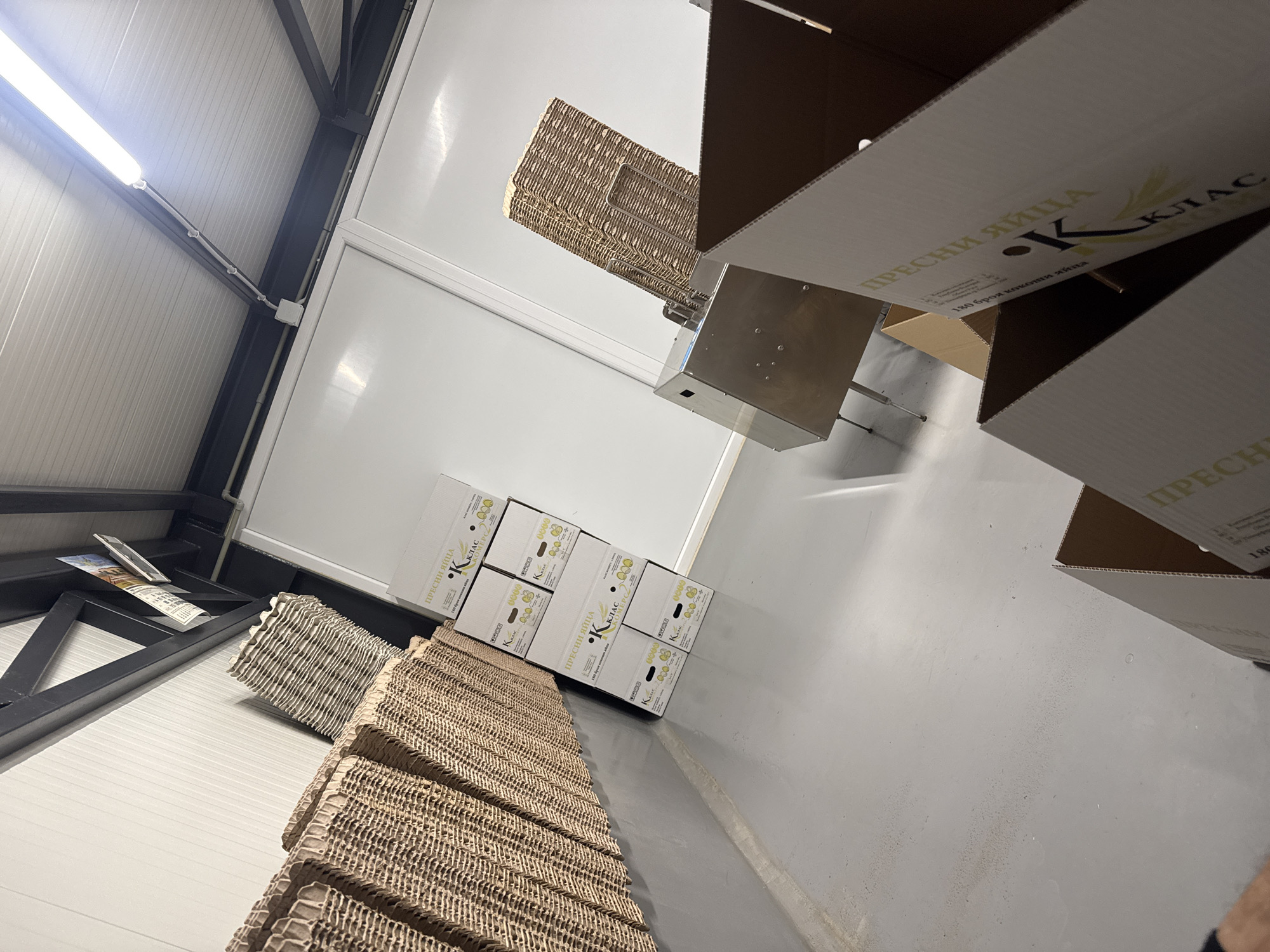 This is an indoor shot of what appears to be a storage or warehouse space in Glodjevo, Bulgaria. The room is illuminated by a fluorescent light fixture on the ceiling. The ceiling is a corrugated panel material in grey. The walls are made of smooth, white panels.
The foreground has stacks of corrugated cardboard egg cartons and a stack of closed cardboard boxes labeled in Bulgarian, "ПРЕСНИ ЯЙЦА K КЛАС" (Fresh Eggs K Class). The top layer of cardboard boxes is opened, with a mechanism extending down, apparently for the processing of the cardboard egg cartons.