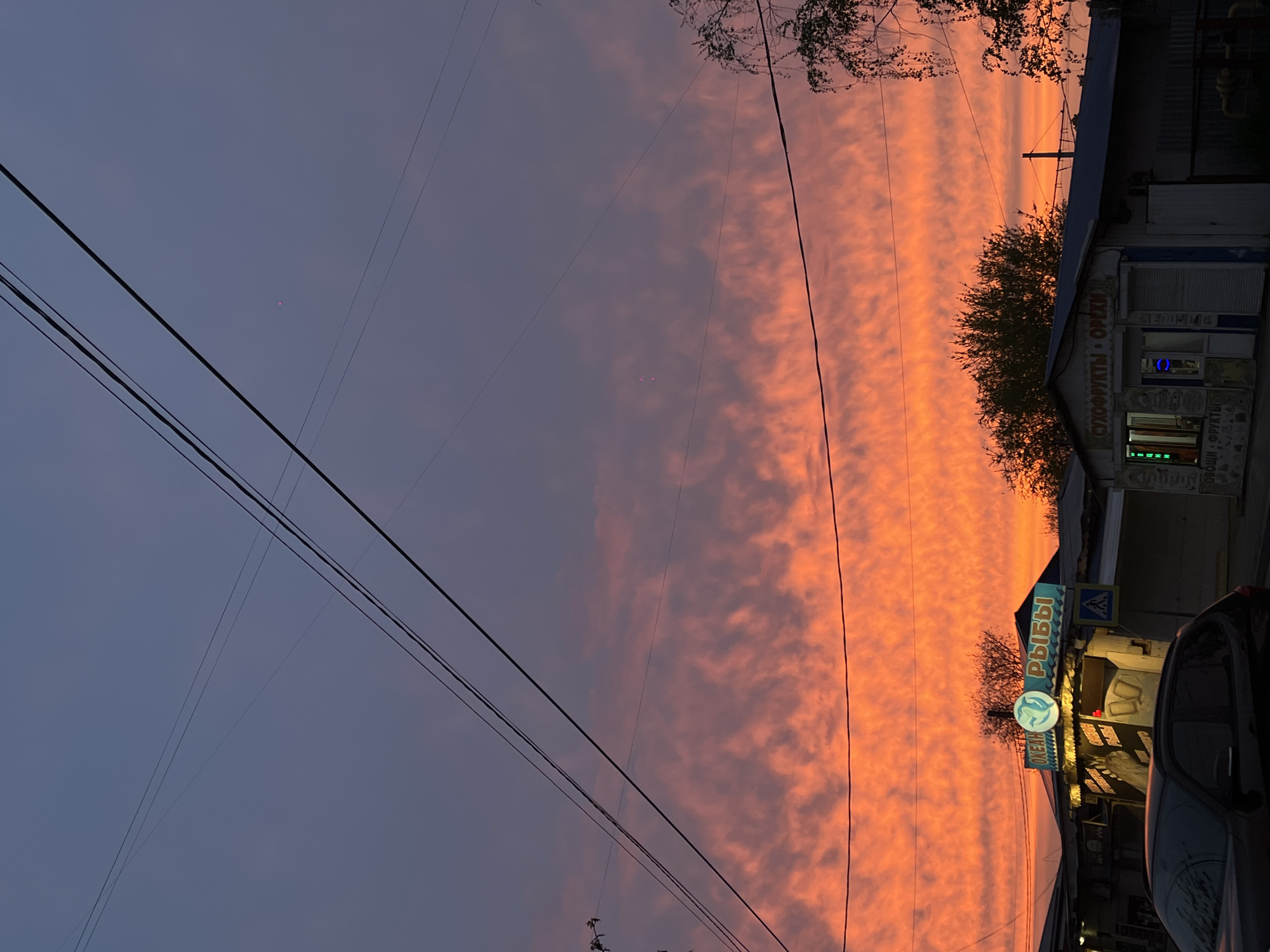 The image, rotated ninety degrees clockwise, captures a dramatic sunset over what appears to be a street in Krasnodar, Russia. The sky dominates the upper and middle portions, displaying a striking gradient of deep purple-blue at the zenith transitioning into a vibrant band of orange and pink clouds horizontally across the middle and right side. These clouds are elongated and textured, catching the last rays of the setting sun.
In the foreground, multiple dark power lines or utility wires stretch across the frame, silhouetted against the colorful sky. On the right side, the silhouettes of trees and buildings are visible. The architecture suggests small commercial stalls or shops.
Notable details include several illuminated signs on the buildings. One sign clearly reads "РЫБЫ" (RYBY), which translates to "Fish," and features a blue dolphin logo with the word "ОКЕАН" (OKEAN), meaning "Ocean," below it. Another sign, partially visible, has the text "СЛАДОСТИ ОРЕХИ" (SLADOSTI OREKHI), translating to "Sweets Nuts." Further down, another sign shows "Овощи • ФРУКТЫ" (OVOSHCHI • FRUKTY), meaning "Vegetables • Fruits." A dark vehicle, possibly a car, is partially visible on the far right, reflecting some of the sky's colors. The overall scene evokes a calm, twilight atmosphere, with the urban elements contrasted against the natural beauty of the sunset.