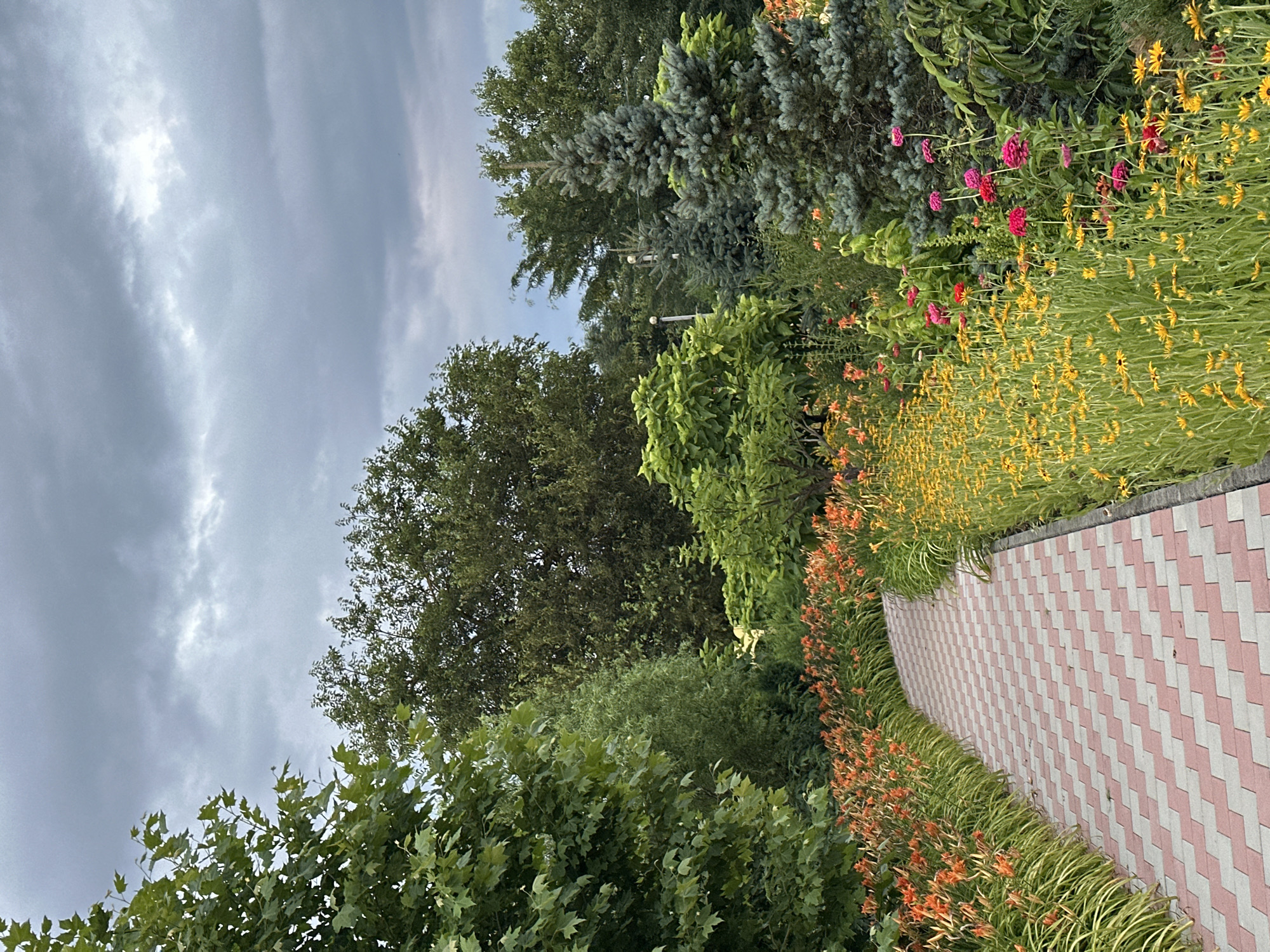 The image depicts a garden path in Yaroslavskaya, Russia, on an overcast day. The path is paved with interlocking rectangular stones in a red and white checkerboard pattern, curving gently to the left. On either side of the path, lush flowerbeds overflow with blooms. To the left, rows of orange daylilies stand tall, interspersed with green foliage. To the right, a vibrant tapestry of yellow flowers, likely coneflowers or black-eyed Susans, dominates the foreground, with clusters of pink and red zinnias interspersed further back. Beyond the flowerbeds, various trees create a dense green backdrop, including a large, leafy tree on the far left, a cluster of blue spruce trees in the middle, and other deciduous trees. The sky above is filled with heavy, gray clouds, suggesting impending rain. No people or animals are visible in the scene.
