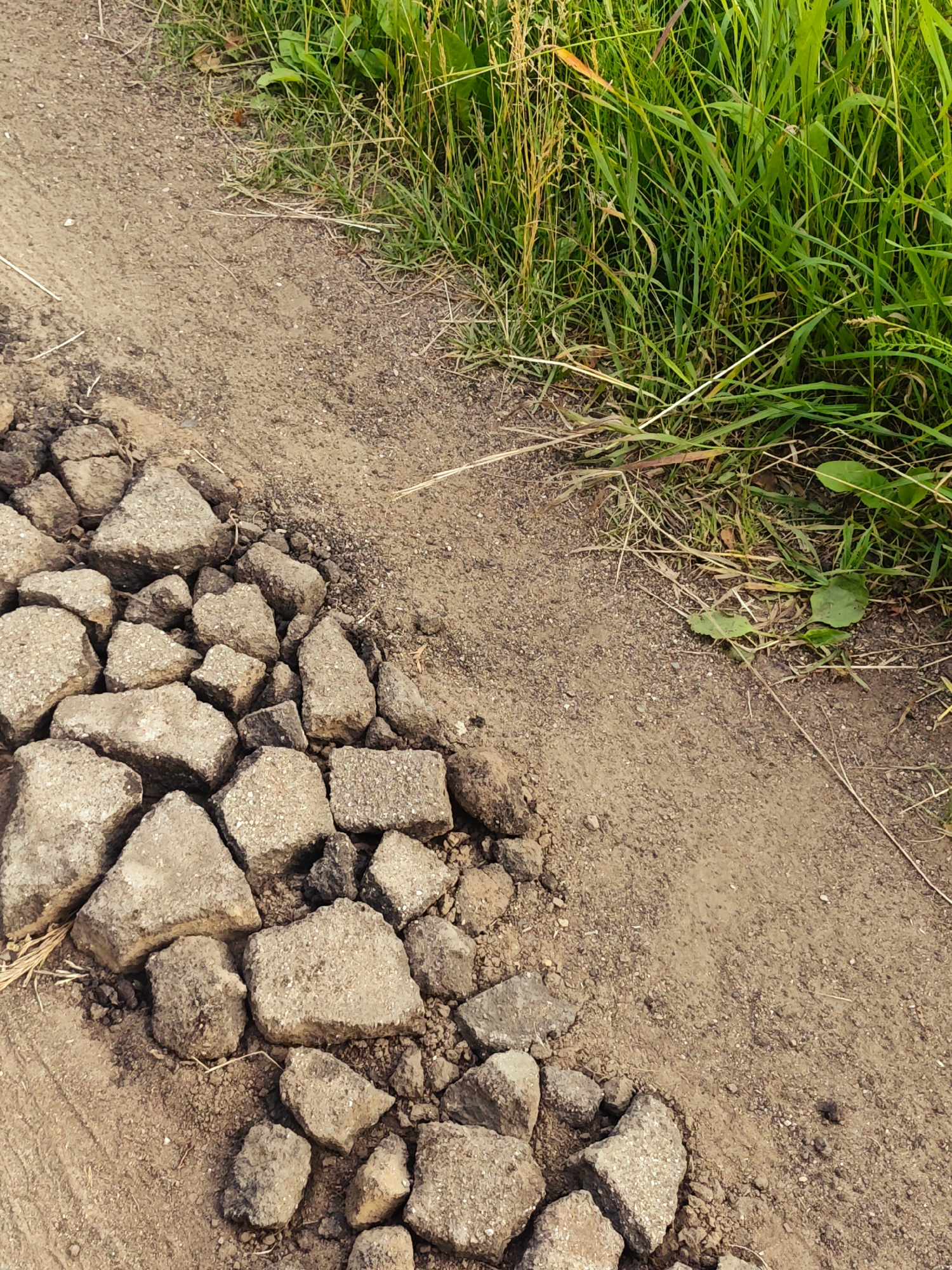 This media file captures a close-up view of a section of a dirt path next to a grassy area. The path is uneven, with a significant portion covered in broken pieces of concrete or asphalt, indicating damage or disrepair. These fragments vary in size and shape, creating a rough texture. The rest of the path is composed of loose dirt and small pebbles. To the right of the path, lush green grass grows tall, with some dried stalks and leaves interspersed. A few small green leaves are also visible at the base of the grass. The scene suggests an outdoor setting, possibly a rural road or a less-maintained trail. The lighting indicates it is daytime, with shadows suggesting the sun is at an angle, possibly late afternoon. There are no people or animals visible, and no text is present in the image. The overall impression is one of a natural, albeit somewhat neglected, environment.