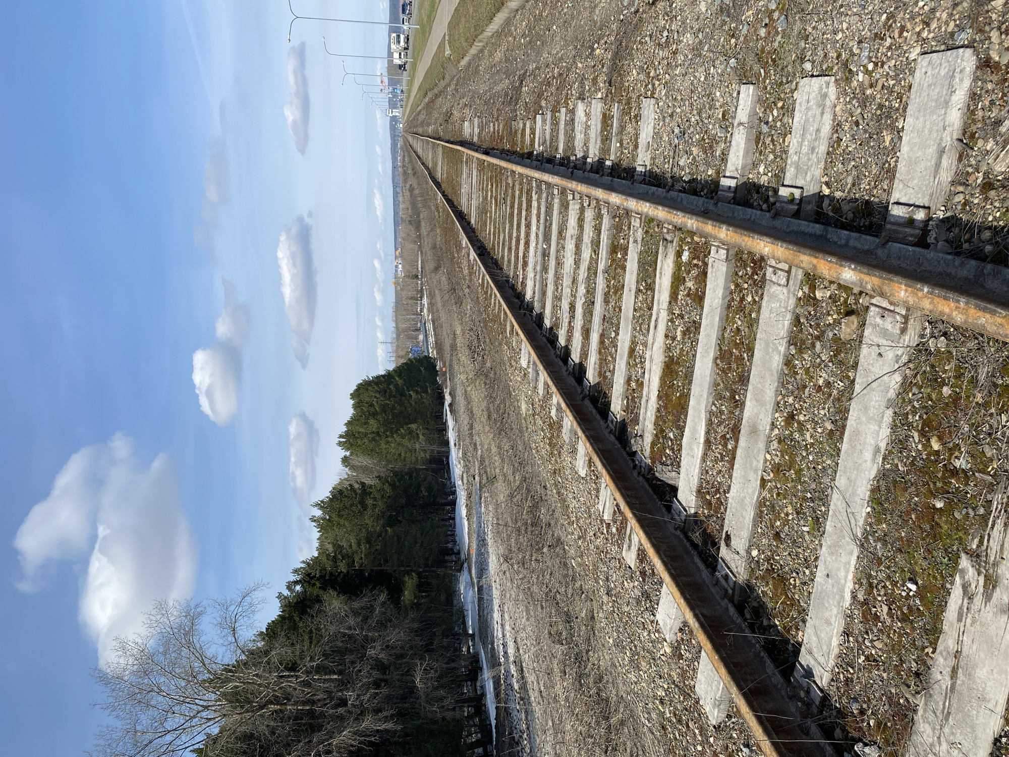 The image depicts a section of railroad tracks stretching into the distance. The tracks are rusty and run parallel to each other, with light-colored concrete sleepers positioned perpendicularly at regular intervals. The ballast surrounding the tracks consists of gravel and dirt.
To the left of the tracks is a landscape with trees, some deciduous and others evergreen. A patch of melting snow is also visible. Above the trees, a blue sky is dotted with white clouds. In the far distance, beyond the trees, a road with lampposts and some buildings is discernible.
The location is identified as the city of Chaikovsky, Russia.