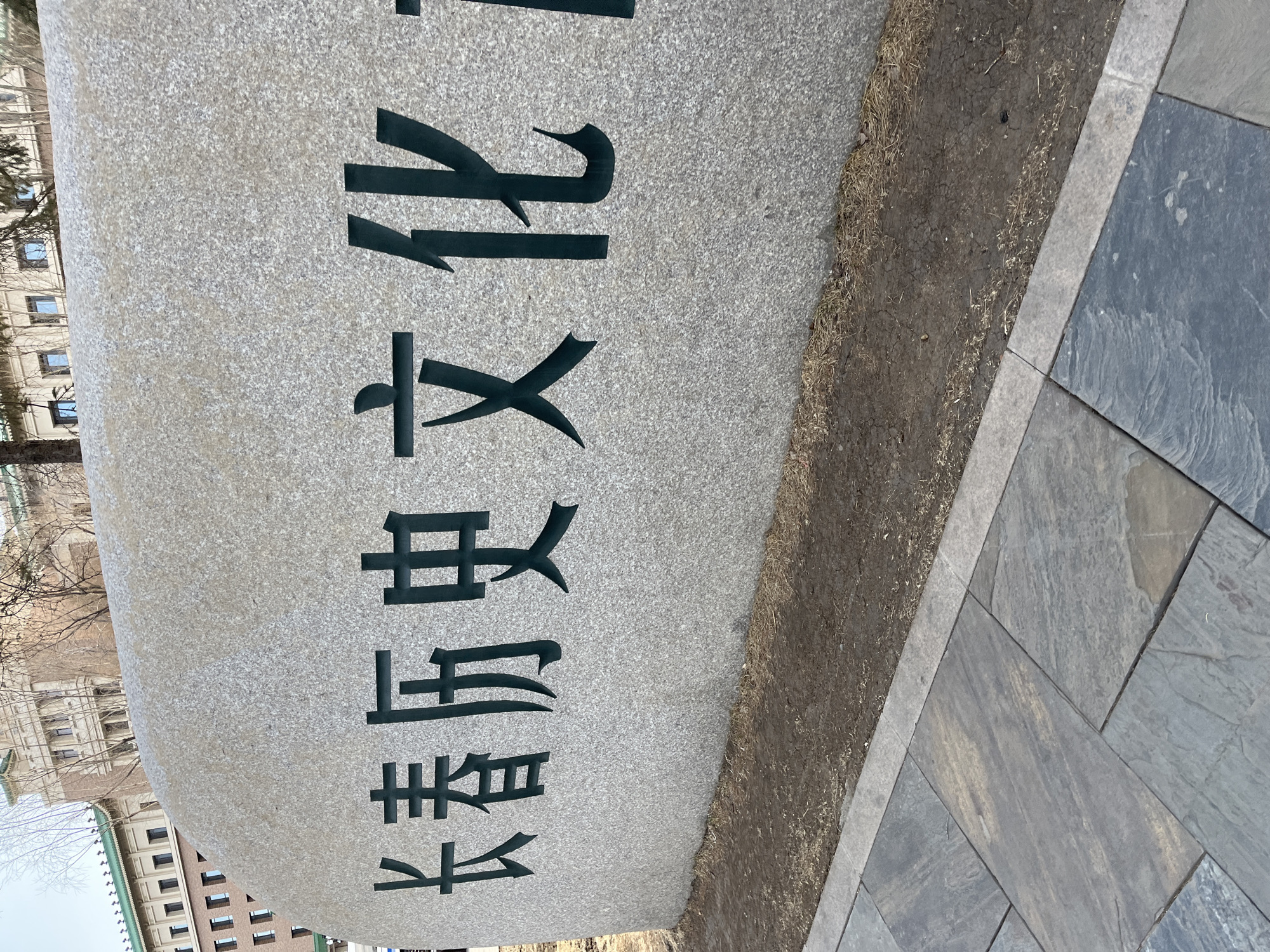 The image shows a grey stone monument standing next to a paved area in what appears to be an urban setting. The monument is inscribed with Chinese characters in dark green. The characters read from top to bottom and right to left as "东北师范大学", which translates to "Northeast Normal University." The background features a cityscape with bare trees and buildings, including some with windows visible. The edge of the pavement is lined with a strip of dirt or soil. The paving stones are multi-colored, with variations of grey and blue shades.