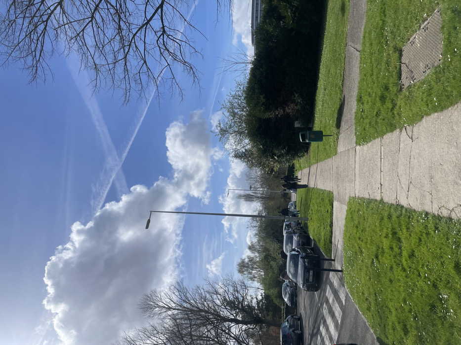 The image depicts a sunlit outdoor scene in Montigny-le-Bretonneux, France, featuring a concrete sidewalk, an adjacent road with parked vehicles, and green spaces under a partially cloudy blue sky.
The sky is bright blue with scattered white cumulus clouds. Two distinct white airplane contrails intersect high in the sky, forming an 'X' pattern. Sunlight is evident, casting shadows and illuminating the scene.
On the left side of the image, multiple bare-branched deciduous trees are visible, indicative of late winter or early spring. To the right of the sidewalk, a dense, dark green hedge runs parallel to the path. Green grass with small white flowers (possibly daisies) covers the ground on both sides of the concrete sidewalk. A metal gridded cover is present in the grass on the right.
The concrete sidewalk, exhibiting some cracks, extends from the foreground into the mid-ground, gently curving towards the right. To the left of the sidewalk, a dark asphalt road or parking area is visible, with a painted pedestrian crosswalk in the immediate foreground. Numerous cars are parked along this area; a dark Audi sedan (French registration GH-598-QA) is prominently featured in the mid-ground.
Two tall, slender grey streetlights with single luminaires are present, one prominent in the mid-ground and another further in the background. A green public waste bin is positioned on the grass next to the hedge on the right. In the far background, a light-colored building with multiple windows is partially visible above the tree line on the right.
Several individuals, estimated to be between 5 and 7, are present. Most are walking on the sidewalk in the mid-ground, moving away from the viewer, appearing as dark figures. At least two individuals are clearly walking together, followed by others. One person is standing near the parked cars on the left side of the road. The overall scene suggests a typical daytime public environment with pedestrian and vehicular activity.