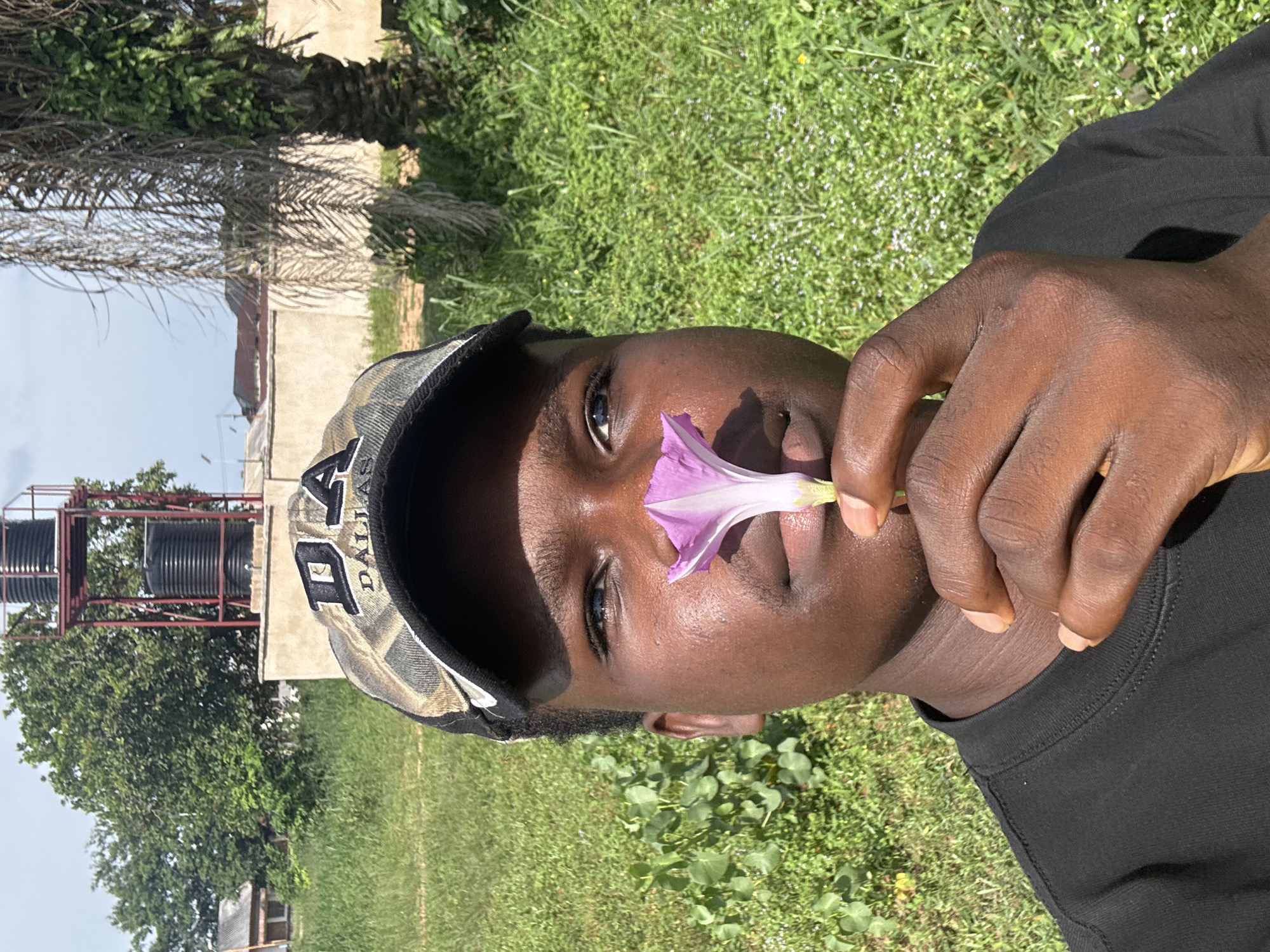 The image displays a young person, likely male, with dark skin, featured prominently in the foreground. He is wearing a black t-shirt and a camouflage-patterned baseball cap, with the word "DALLAS" partially visible on its front. A delicate light purple flower with a white base is held by his right hand, positioned near his nose and mouth, suggesting he might be smelling it or posing with it. His expression is neutral as he looks directly into the camera.
The scene is set outdoors under bright daylight, indicated by clear shadows cast by the strong sun. The background reveals a lush green environment, primarily composed of grass and various trees, including palm-like structures and dense leafy foliage. In the mid-ground, behind the natural elements, are visible structures: a building with a reddish roof and a metal frame supporting two black water tanks, typical of water storage infrastructure. This setting, particularly the utility structures and vegetation, aligns with the provided context of Ihiagwa, Nigeria, suggesting a semi-rural or developing area. The overall impression is a calm moment captured in a natural, sunlit environment.