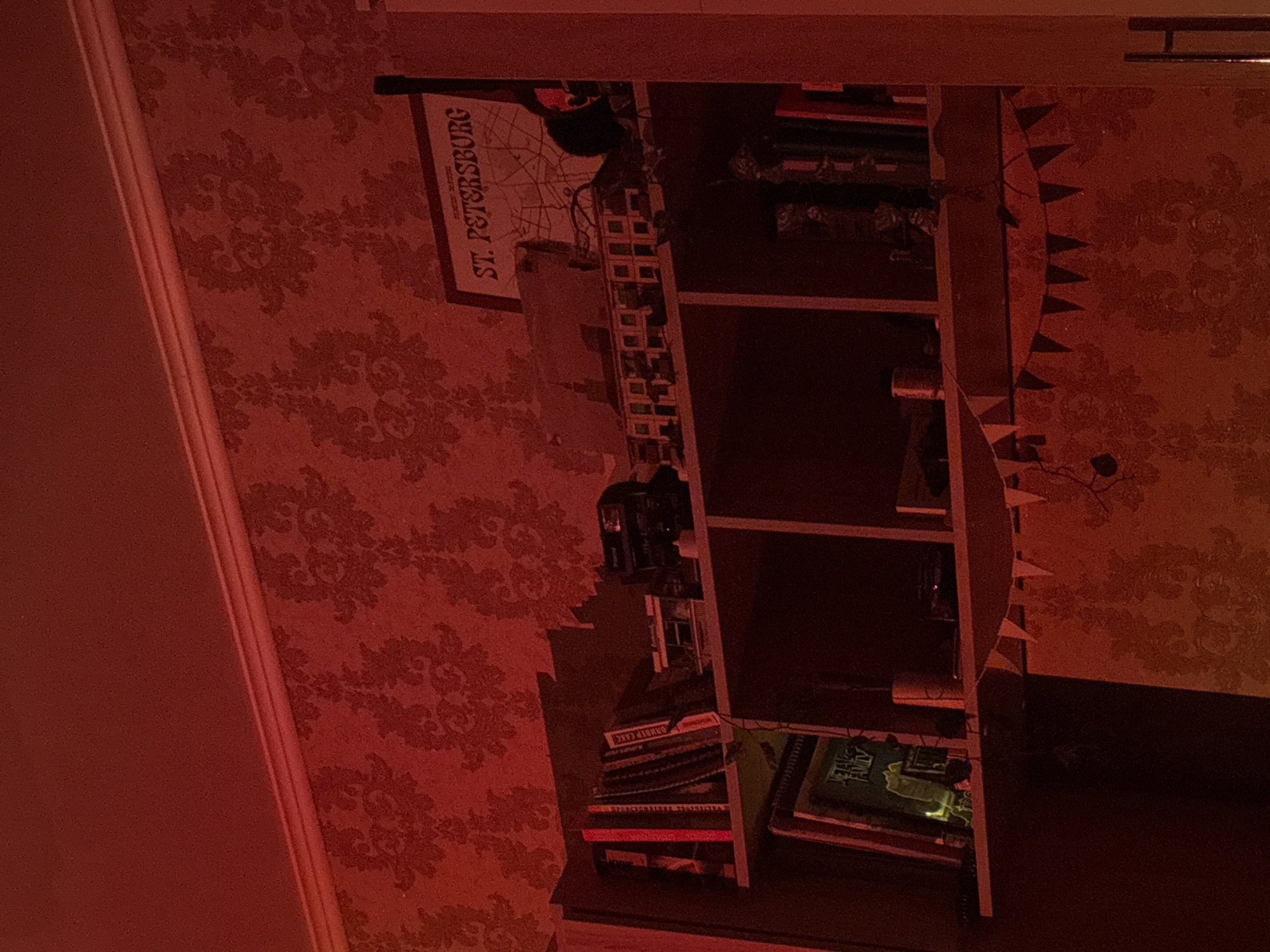The image depicts a dimly lit interior, bathed in a strong red light, which obscures fine details and casts deep shadows. A bookshelf unit is prominently featured, filled with various objects. On the upper shelf, several books are visible, along with what appears to be a vintage camera and some electronic components. A framed map or poster with the text "ST. PETERSBURG" is also present. The lower shelves contain more books, one of which has a green cover with the text "METAL FAMILY" visible. A string of triangular flags hangs across the lower part of the bookshelf. The wallpaper behind the bookshelf has a repeating damask pattern. The scene is consistent with an indoor residential setting. The location is identified as Radkevshchina, Russia, though no specific geographical markers in the image confirm this.