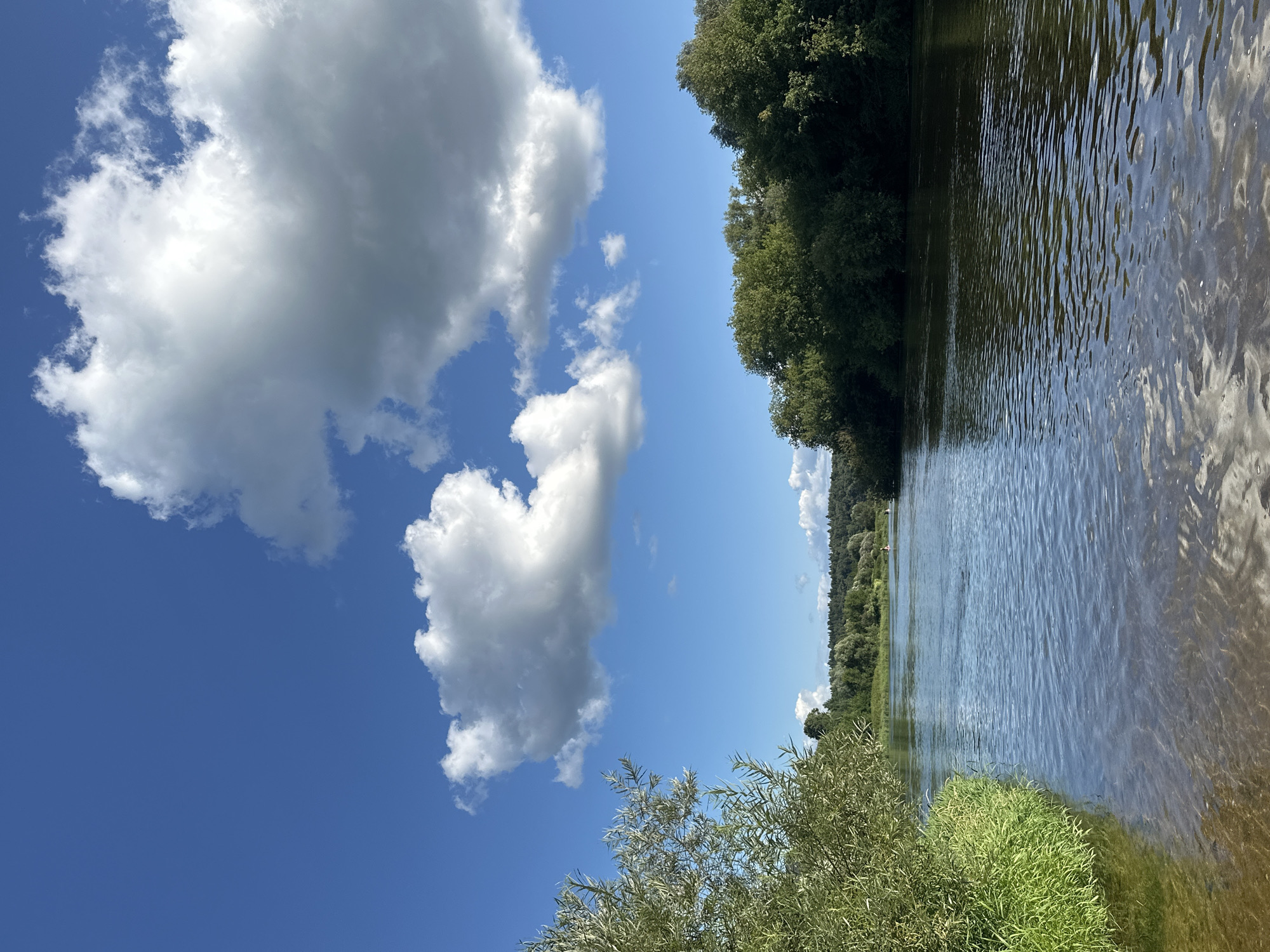 A vertical, wide-angle photograph captures a scenic view of a wide river bordered by lush green trees on the left bank. The river occupies the right side of the frame, its surface rippling with the reflection of the sky and trees. On the left side of the image, the bright blue sky is adorned with fluffy white cumulus clouds. In the foreground, the bank is covered with green grass and trees. The overall impression is one of a peaceful summer day in a natural setting.
The photograph appears to have been taken during the daytime, as indicated by the bright sunlight and blue sky. The weather seems to be fair with scattered clouds. The presence of the river, dense foliage, and open sky suggests a rural or natural environment, possibly a park or a riverside recreational area. The scene evokes a sense of tranquility and natural beauty. No people, objects, or visible text are discernible in the image.