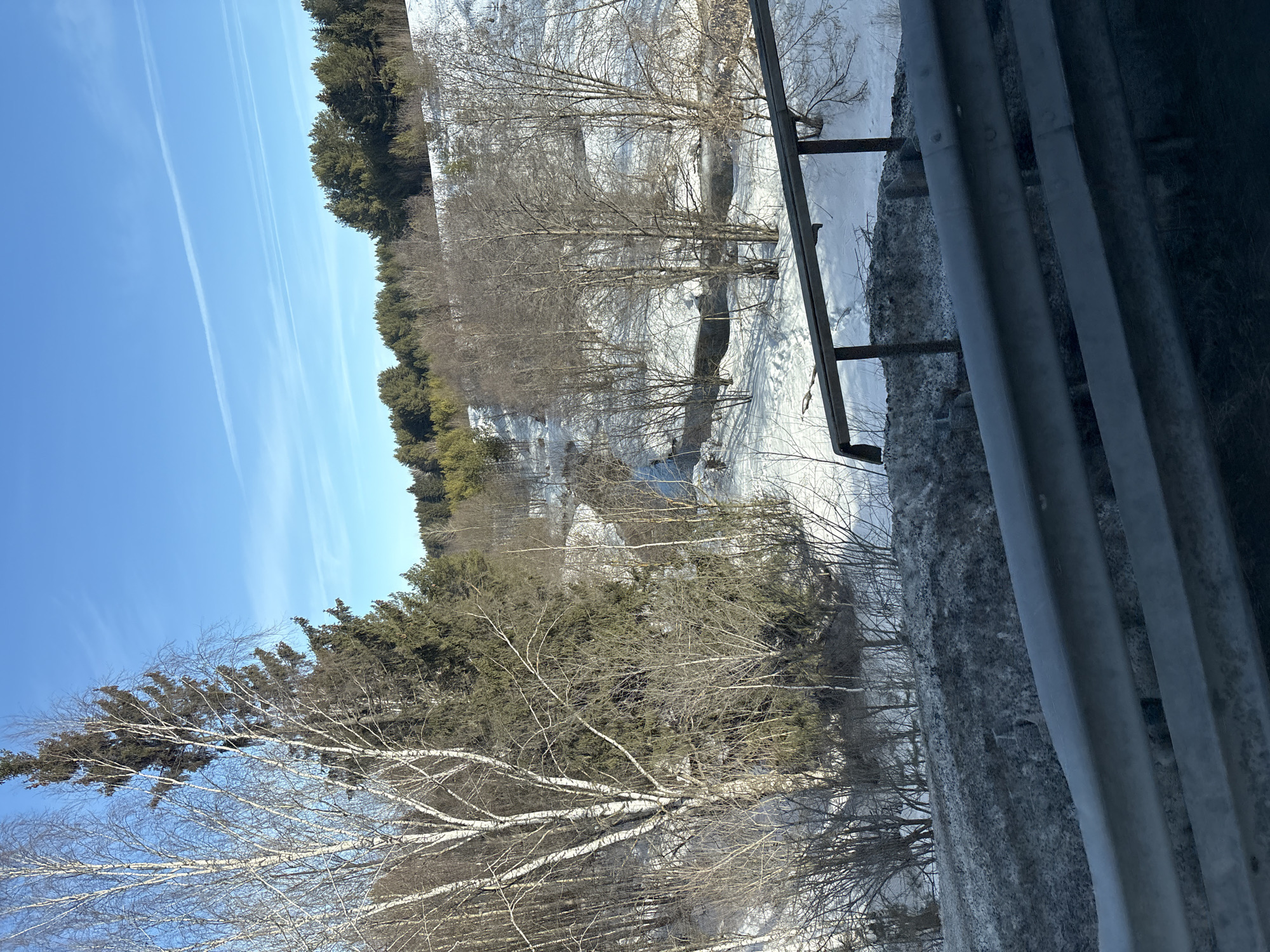 This image depicts a winter or early spring landscape in Bannoe, Russia, viewed from an elevated position. The foreground features a dark, two-bar metal guardrail, consistent with a roadside or bridge barrier, partially obscured by a dark, dirty snowbank. Beyond this barrier, a snow-covered valley or gully descends, revealing a dark, winding body of water, likely a stream or small river, flowing through the snow. The banks of the watercourse are covered in white snow, with some areas of visible dark ground or melted ice. Numerous trees populate the scene, including tall, slender deciduous trees with white bark (likely birch) and bare branches, interspersed with dark green coniferous trees, primarily spruces or firs. Further in the midground and background, the terrain rises, densely forested with both bare deciduous and evergreen trees, all under a clear, bright blue sky containing at least two thin, white contrails. No individuals, animals, or specific activities are observable.