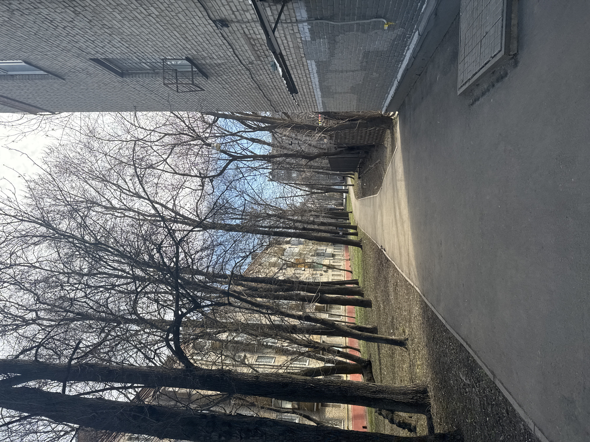 The image depicts a street scene in Moscow, Russia, likely in early spring based on the bare trees. The perspective is along a sidewalk adjacent to a road, with buildings on both sides. The building on the left is a tall brick structure with multiple windows. The sidewalk is asphalt, and the area between the sidewalk and the buildings is covered with bare earth and fallen leaves. A row of mature trees lines the sidewalk. The sky is overcast. The image is taken during the day, with some sunlight reflecting off the asphalt. There are no people visible in the image.