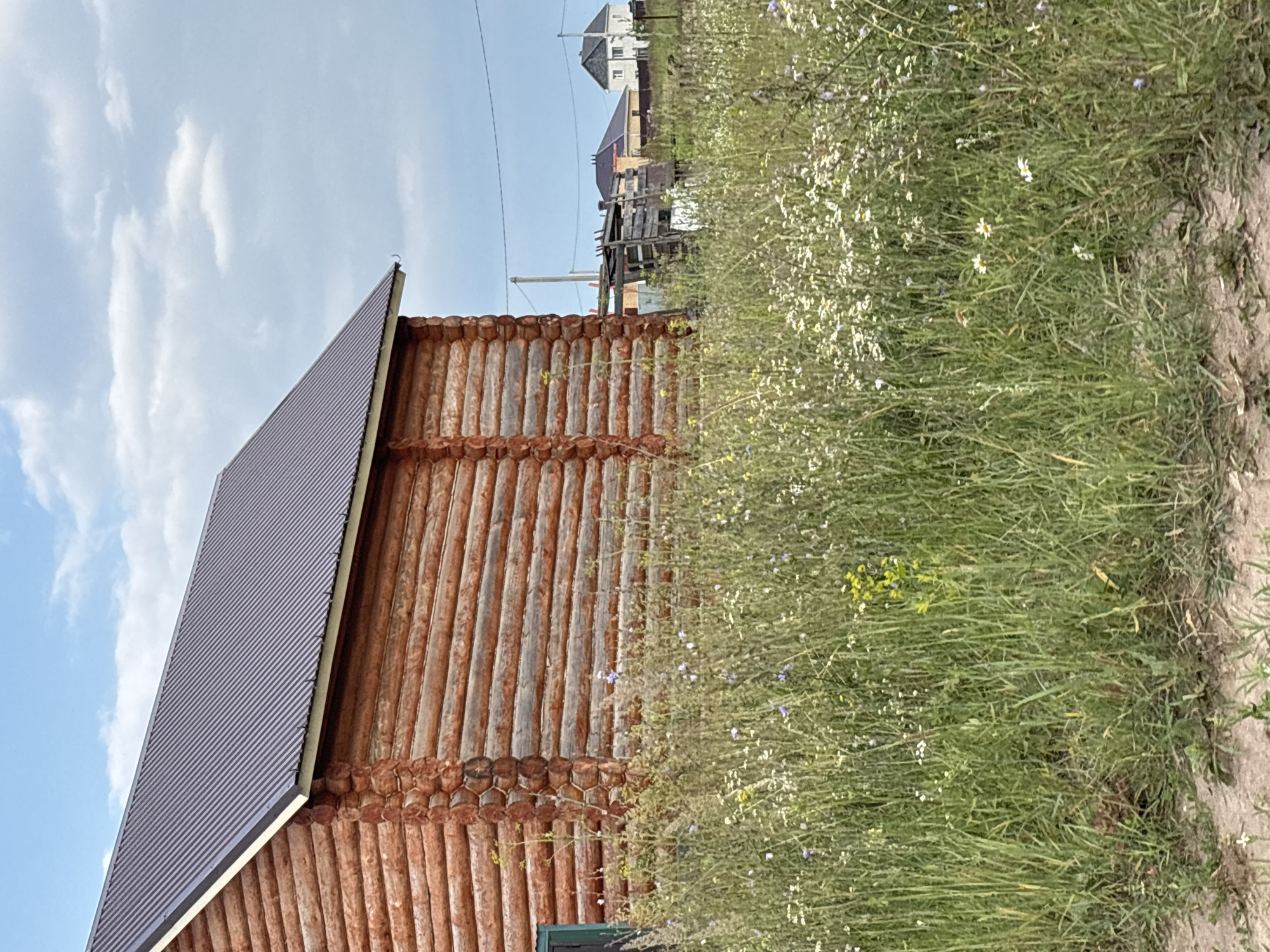 The image shows a wooden log house with a dark, ribbed metal roof. The house is viewed from a side angle, with a large expanse of tall grass and wildflowers to its right. In the background, several houses and what appears to be some construction materials are visible under a cloudy sky. The scene suggests a rural or semi-rural setting, possibly in a village or countryside. The lighting indicates it is daytime, with soft clouds suggesting fair weather. No people or specific activities are depicted, creating a peaceful, observational mood. The image appears to be taken outdoors, with the natural elements of grass and sky being prominent alongside the man-made structure.