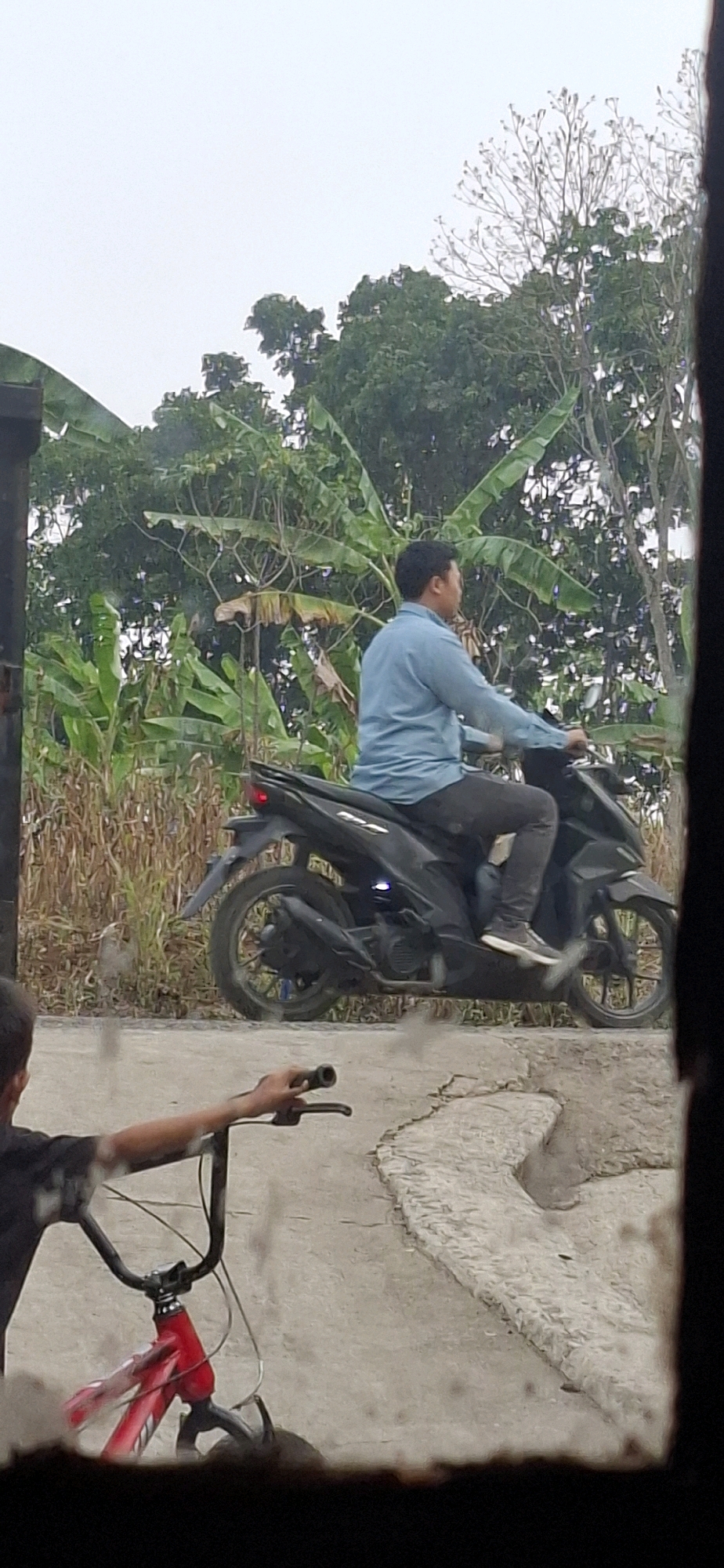 An outdoor medium shot captures a man in a light blue long-sleeved shirt and dark pants riding a black motorcycle. He is facing to the right, with his left hand on the handlebars. The motorcycle has a red taillight illuminated. In the foreground, a child's red bicycle is partially visible, with its handlebars angled upwards and to the right. The child's arm, wearing a dark short-sleeved shirt, is extended towards the handlebars. The background features lush green banana trees and other vegetation, suggesting a rural or semi-rural setting. The sky is overcast. The scene is observed from behind a blurred foreground element, possibly a window or fence, with a dark frame at the top and bottom. The ground appears to be paved with some textured, possibly concrete, material. The location is identified as Cibinong Hilir, Indonesia.