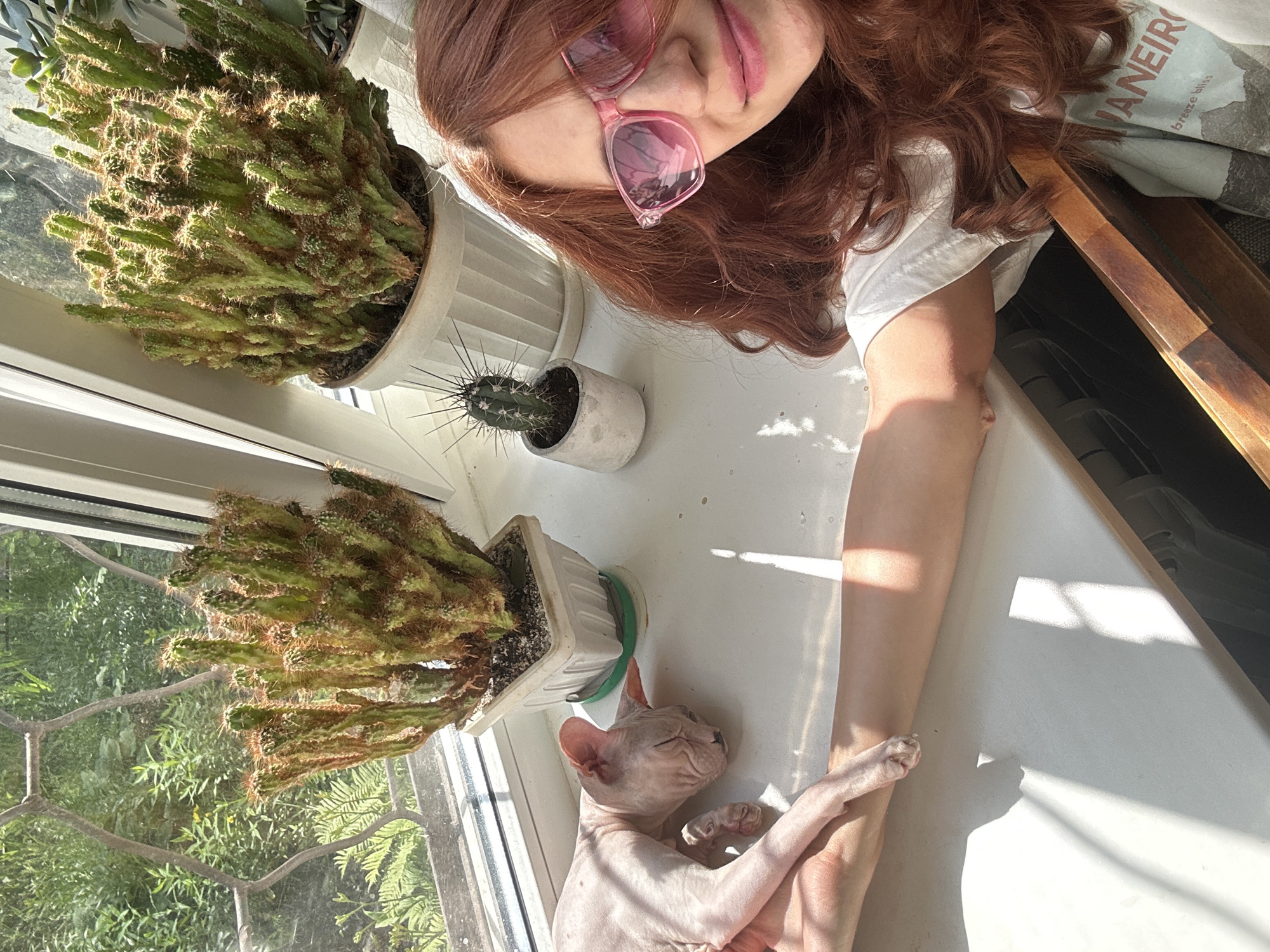 A young woman with long, wavy red hair and pink sunglasses poses for a selfie in front of a window. She is wearing a white t-shirt. Next to her, a hairless cat sleeps on a windowsill. The windowsill is lined with several potted cacti of varying sizes. Sunlight streams through the window, casting shadows across the scene. The background shows lush green foliage and a window grate. The location is not discernable from the image and cannot be confirmed as Togliatti, Russia.