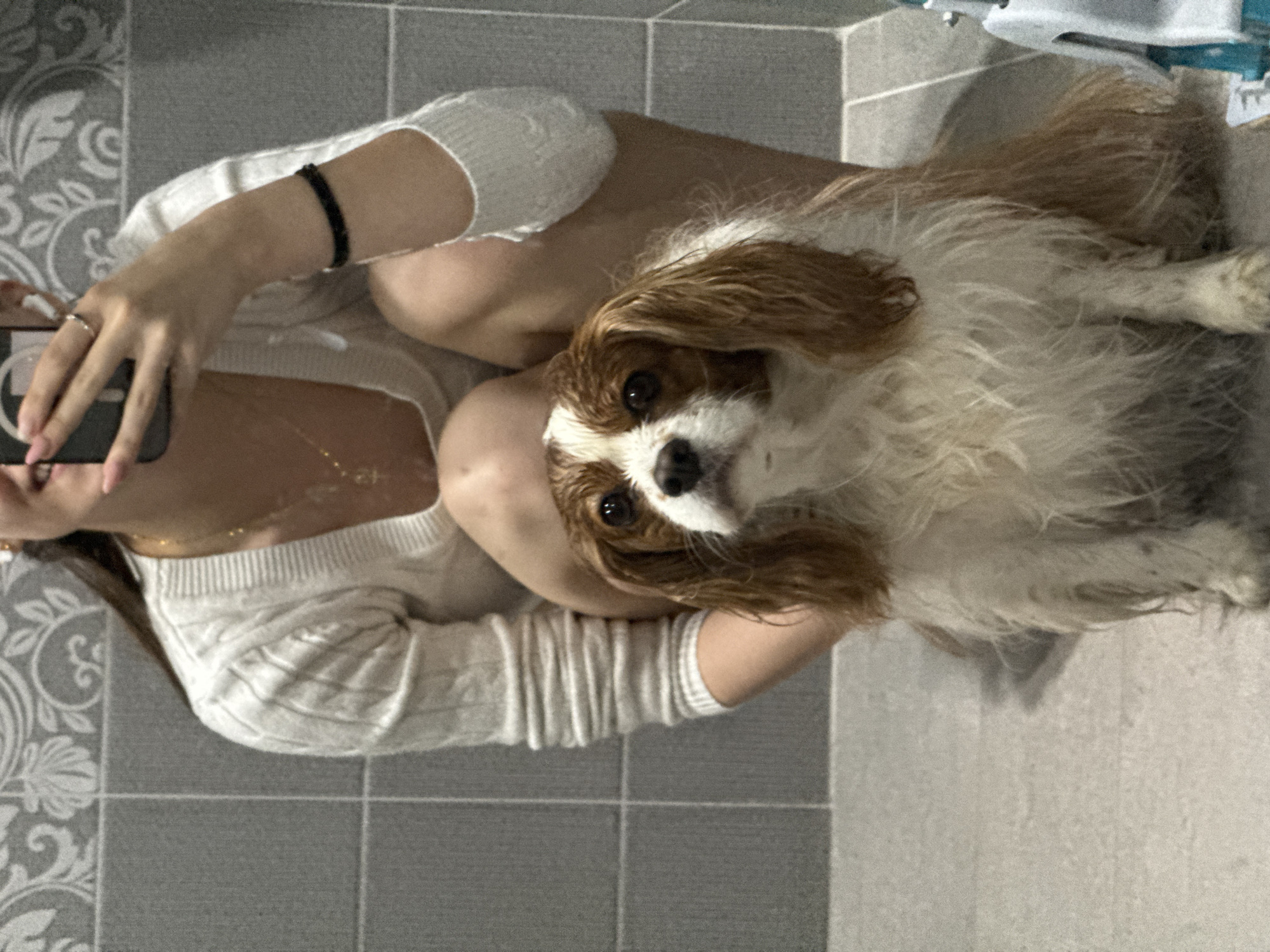 An indoor scene captured from a high angle, possibly a selfie, shows a person and a Cavalier King Charles Spaniel dog on a tiled floor. The person is sitting or squatting, holding a dark smartphone in their left hand, presumably taking the picture. They wear a light-colored, possibly white or off-white, ribbed or knitted long-sleeved top, a gold chain necklace, a silver ring on their left hand, and a black elastic band or bracelet on their right wrist. Their lower body, including legs, is partially visible.
The dog, a white and brown/tan Cavalier King Charles Spaniel, sits directly in front of the person, looking intently at the camera with a calm and curious expression. Its fur appears slightly disheveled, characteristic of the breed.
The setting features light gray square floor tiles and a patterned gray and white tile wall in the background. The overall lighting suggests an indoor environment, with no discernible time of day. There is no visible text in the image. This scene takes place in Sofia, Bulgaria.