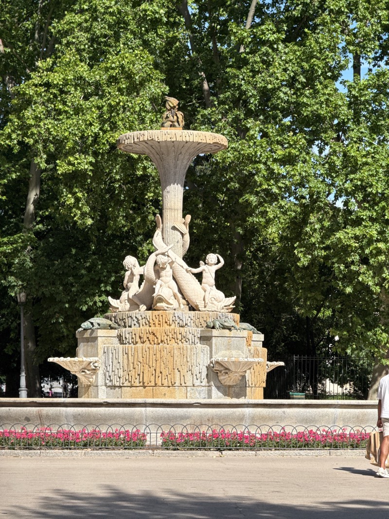 The image displays a multi-tiered stone fountain, centrally located in a lush green park, likely in Madrid, Spain. The fountain is adorned with numerous sculptures and is captured under bright daylight.
At the very top of the fountain, a small, seated figure, possibly a cherub or child, rests upon a large, ornate shell-like structure. Below this, the main body of the fountain features a dynamic composition of larger carved figures. These include several cherubs or children interacting with large, stylized marine creatures resembling fish or dolphins. The sculptures depict lively poses, suggesting a playful or mythological narrative involving these figures and sea life. The fountain's structure itself is made of textured stone, with decorative elements, possibly shells and spouts, integrated into its lower tiers. Small turtle sculptures are also visible on the rim of one of the lower basins.
The fountain is situated within a vibrant park setting, characterized by numerous tall trees with dense, green foliage that forms a rich background. In the foreground, there is a paved pathway, separated from the fountain by a low, dark metal fence. Behind this fence, a bed of bright pink flowers adds a colorful accent to the scene.
On the far right side of the image, a person is partially visible, walking away from the fountain. They are dressed in a white t-shirt and light-colored shorts, carrying a light-colored bag, suggesting a casual stroll through the park.
The bright lighting and distinct shadows on the pathway indicate that it is daytime, likely midday or early afternoon, under clear, sunny weather. The scene conveys a peaceful and pleasant atmosphere, typical of a well-maintained public park. No visible text is present in the image. The architectural style of the fountain and the verdant surroundings are consistent with historical parks found in Madrid, such as Retiro Park.