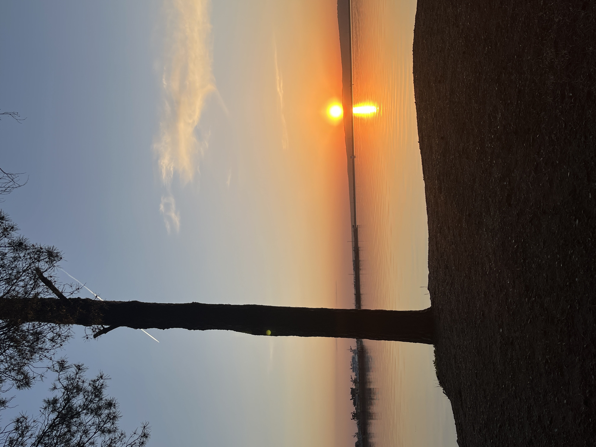 The image captures a sunset over water, possibly a river or lake, with a tree in the foreground. The sun is near the horizon, reflecting brightly on the water. The sky transitions from blue to orange and yellow hues, with some clouds visible. A dark mass of land is present on the right side of the image.
Without further information, it is not possible to confirm that the location is Chaikovsky, Russia, nor to provide any further forensic details.