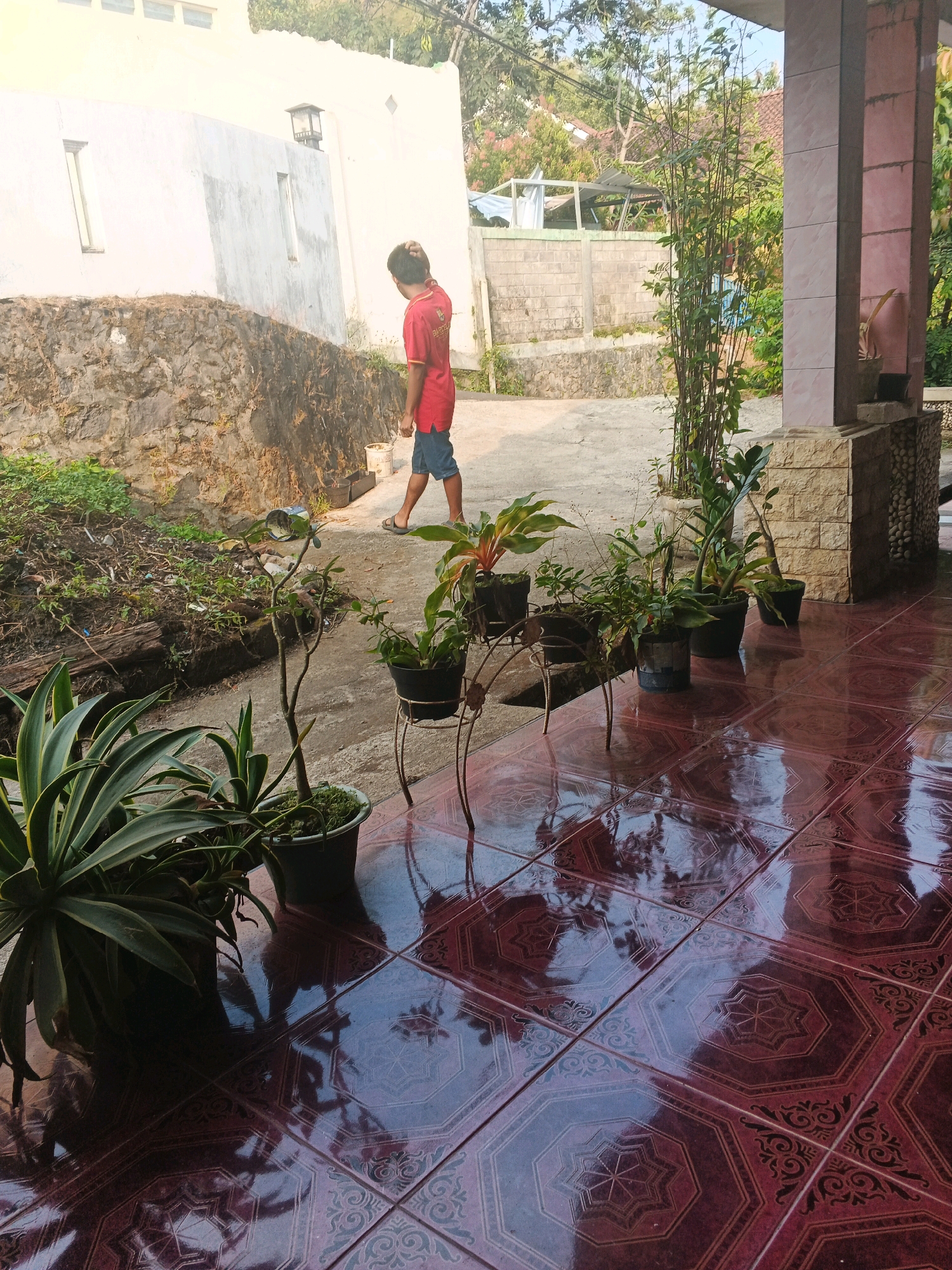 An outdoor scene in Keji, Indonesia, features a young boy in a red t-shirt and blue shorts walking away from the camera, his hand touching the back of his head. He is on a paved pathway in front of a building with a white and gray concrete exterior. A low stone wall borders the pathway, overgrown with vegetation. Several potted plants are arranged on the pathway and on a metal stand. The foreground is dominated by a glossy, dark red tiled floor with an intricate patterned design, reflecting the surrounding environment and potted plants. In the background, a tall, thin bamboo-like plant stands near a pillar. The overall lighting suggests it is daytime, with sunlight casting shadows.
