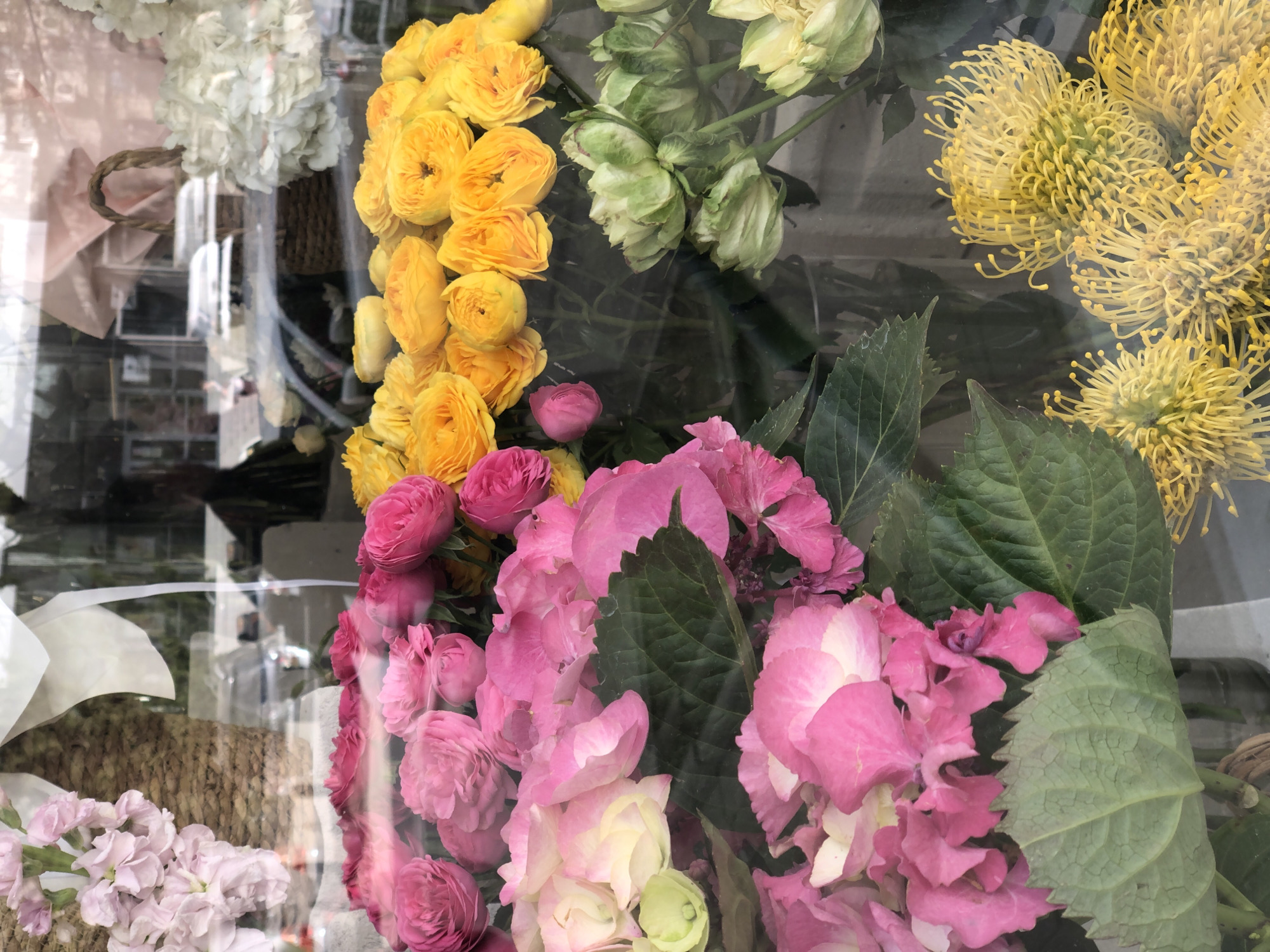 This media file captures a vibrant display of various fresh flowers, likely viewed through a reflective glass shop window or a display case in Krasnoyarsk, Russia. The image is filled with an assortment of blooms in different colors and forms.
Prominently featured are numerous bright yellow ranunculus flowers, characterized by their densely packed, delicate petals, arranged vertically on the left side. Adjacent to them, in the upper middle section, are clusters of light green flowers that appear to be partially open or developing, possibly hellebores. To the top-right, a distinctive group of spiky, bright yellow flowers with elongated stamen-like structures, resembling Banksia or Pincushion Protea, adds a unique texture.
The lower half of the composition is dominated by various shades of pink. There are clusters of vivid pink ranunculus, similar in form to their yellow counterparts. These blend into large, lush groupings of pink and light pink hydrangeas, identifiable by their broad, serrated green leaves that frame the lower-right portion of the image. Towards the bottom-left, lighter pink, smaller cluster flowers, possibly stock, are visible.
Hints of the background through the glass include a woven basket handle and portions of a basket, suggesting packaging or decorative elements. Reflections on the glass surface obscure some background details, but indicate ambient daylight conditions. No people or visible text are discernible in the image. The scene presents an abundant and colorful arrangement of fresh cut flowers.