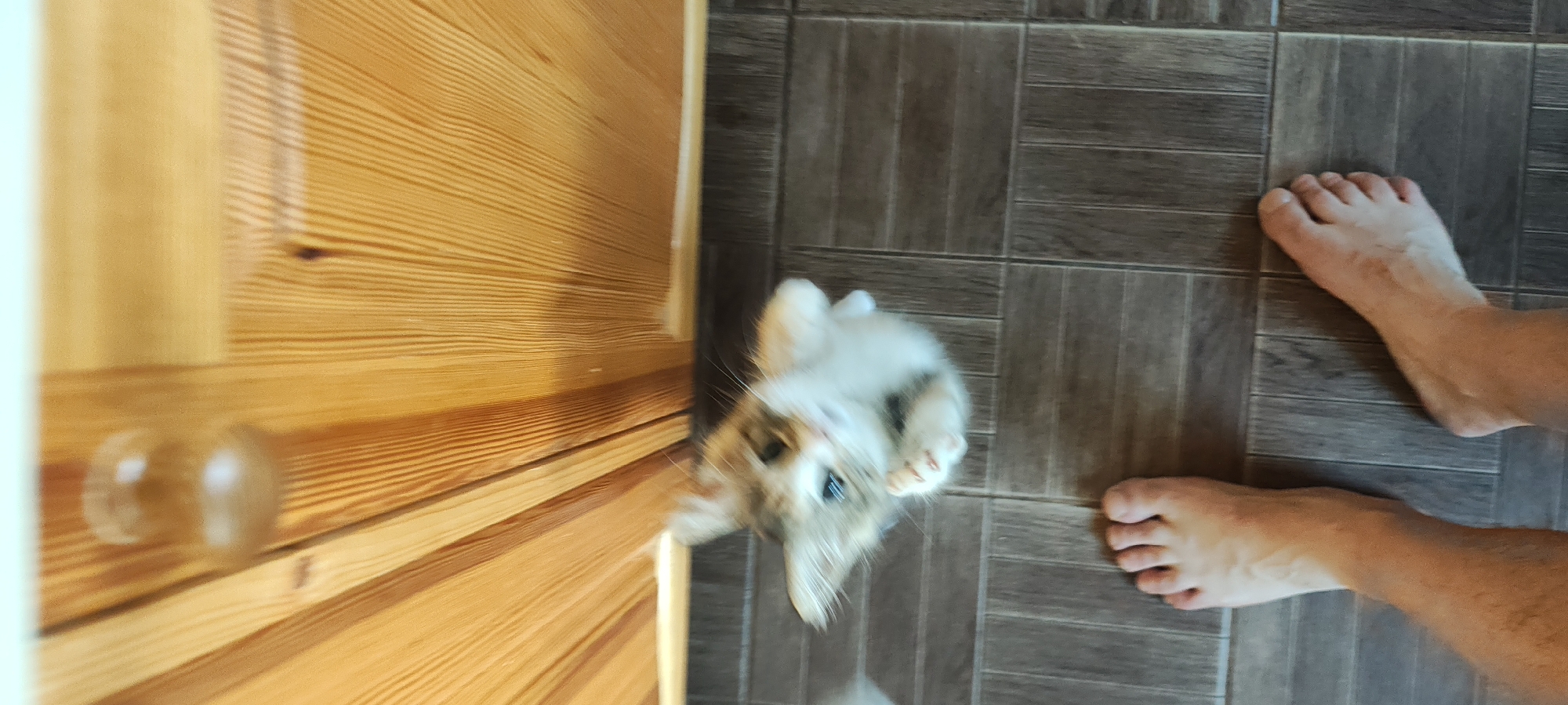 An unfocused, close-up, vertical shot shows a ginger and white cat playing on a dark brown tiled floor. The cat is positioned in the center of the frame, looking up, with its front paws extended. In the foreground, there are two bare feet, facing the camera, with the left foot closer. Behind the cat, a wooden surface with vertical planks is visible, possibly a cabinet or door. The lighting suggests an indoor environment. The provided location, Малая Листовка, Russia, is not visually represented in the image.