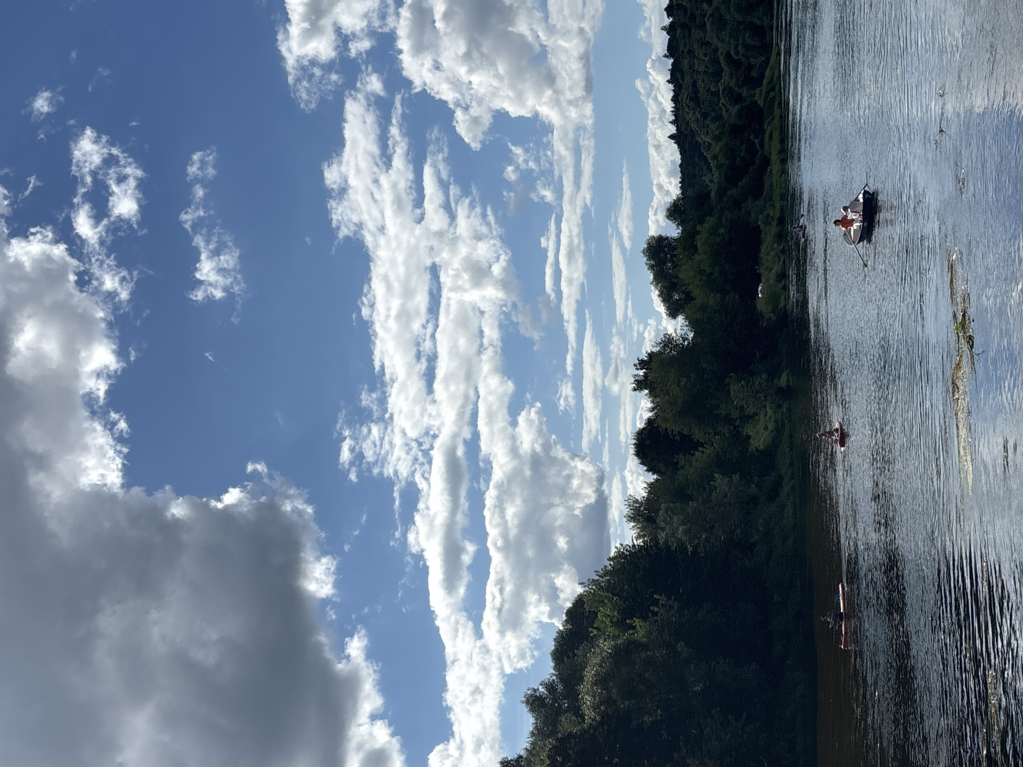 An eye-level, medium shot captures a wide river under a dynamic sky with scattered white and grey clouds against a bright blue backdrop. The river's surface is rippled, reflecting the sky. Dense, dark green trees line the far bank, forming a verdant, undulating landscape that rises gently towards the horizon.
On the water, several small boats are visible. In the foreground, a white rowboat with two occupants, one rowing, glides across the river. Further upstream, two individuals are on separate paddleboards. In the distance, more boats and figures can be seen on the water, suggesting recreational activity. The scene appears to be a sunny day, with the light casting soft shadows. The location is the Moskva River in Zvenigorod, Russia.