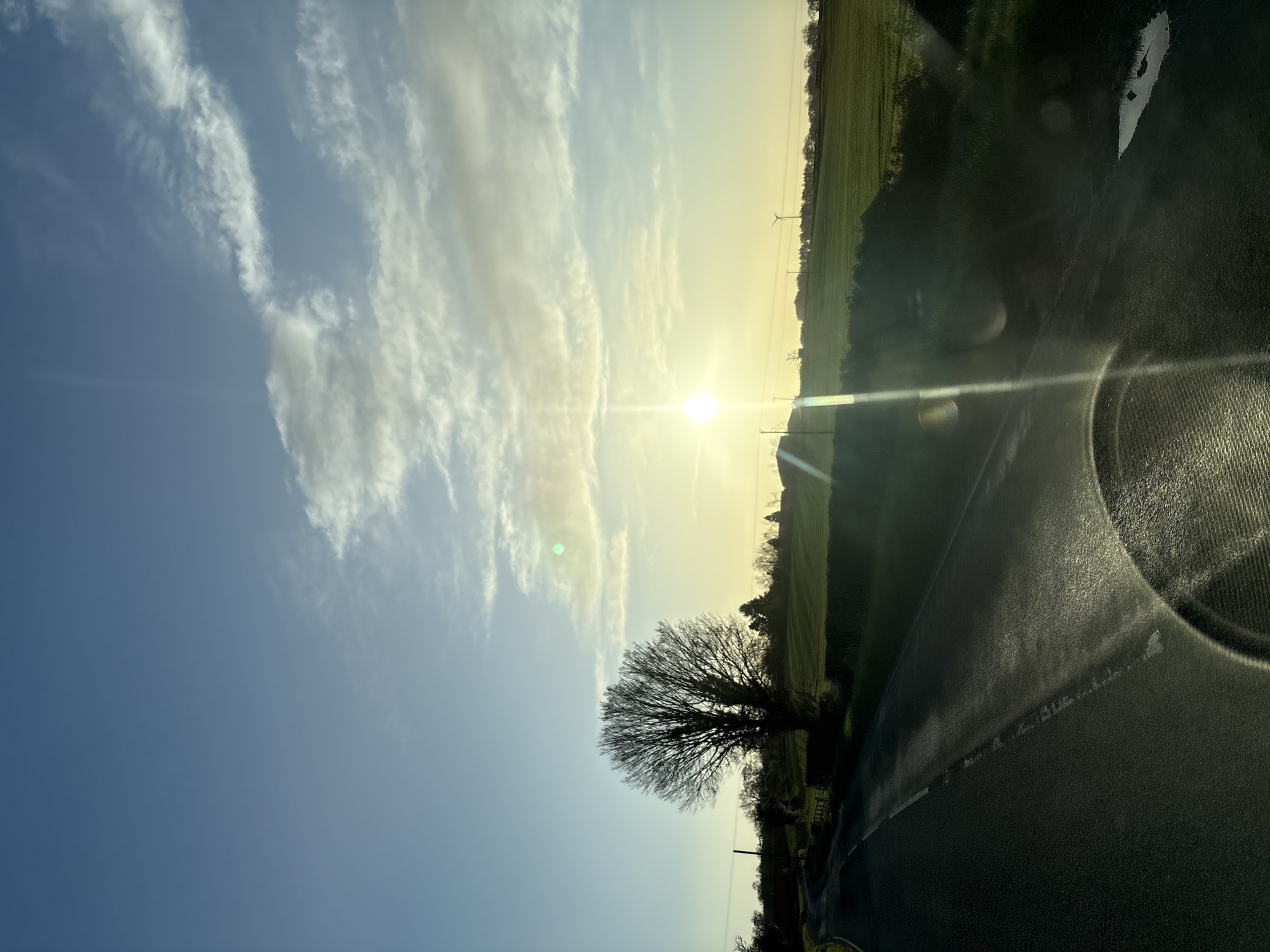 The image depicts a rural road scene in Ruyton-XI-Towns, United Kingdom, under a low sun, indicative of either sunrise or sunset. The sky, occupying the upper two-thirds of the frame, transitions from clear blue at the zenith to a bright yellowish-white at the horizon, with scattered white clouds present. The sun, a brilliant point source, is positioned low in the sky, slightly right of center, emitting significant lens flares across the foreground and a green flare in the upper left.
A dark asphalt road curves from the lower left towards the upper left, featuring a solid white line on its left edge and a broken white dashed line in the center. The road surface exhibits specular reflections from the low sun angle, suggesting dampness. A large, bare deciduous tree stands prominently to the left of the road in the midground. Beyond the tree and road, green agricultural fields are visible, bordered by hedges. Multiple utility poles and overhead lines traverse the landscape. In the far distance on the right horizon, a single wind turbine is identifiable. A circular reflection or object edge is partially visible in the bottom right foreground, along with a small puddle of water on the roadside. No individuals or animals are present.