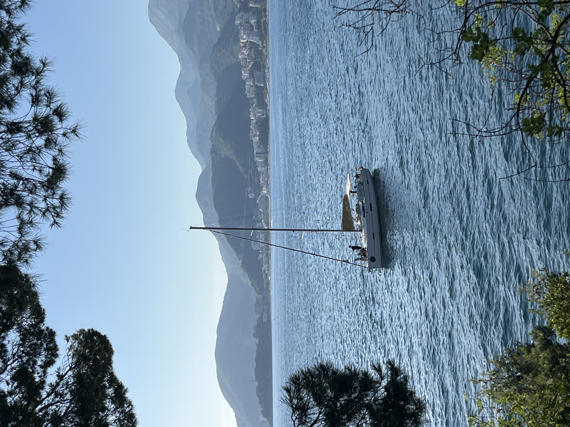 The image displays a coastal panorama in Boreti, Montenegro, featuring a sailboat on the water framed by foreground foliage. A white monohull sailboat, approximately 12-15 meters long, occupies the mid-ground on blue-green, rippled water. It is equipped with a single mast, a furled yellowish-brown sail, and a light-colored canopy over the stern. At least four individuals are visible on deck: one standing near the mast, two seated on the bow, and one further aft. In the background, multiple layers of hazy, blue-grey mountains rise from the coastline. Along the base of these mountains, a concentrated cluster of white, multi-story buildings indicates a coastal settlement or resort area. The sky above is clear and light blue. The scene is partially framed by dark green pine branches with needles across the top and left, and lighter green leafy branches with some bare twigs in the bottom left and right corners. The lighting suggests bright daylight.