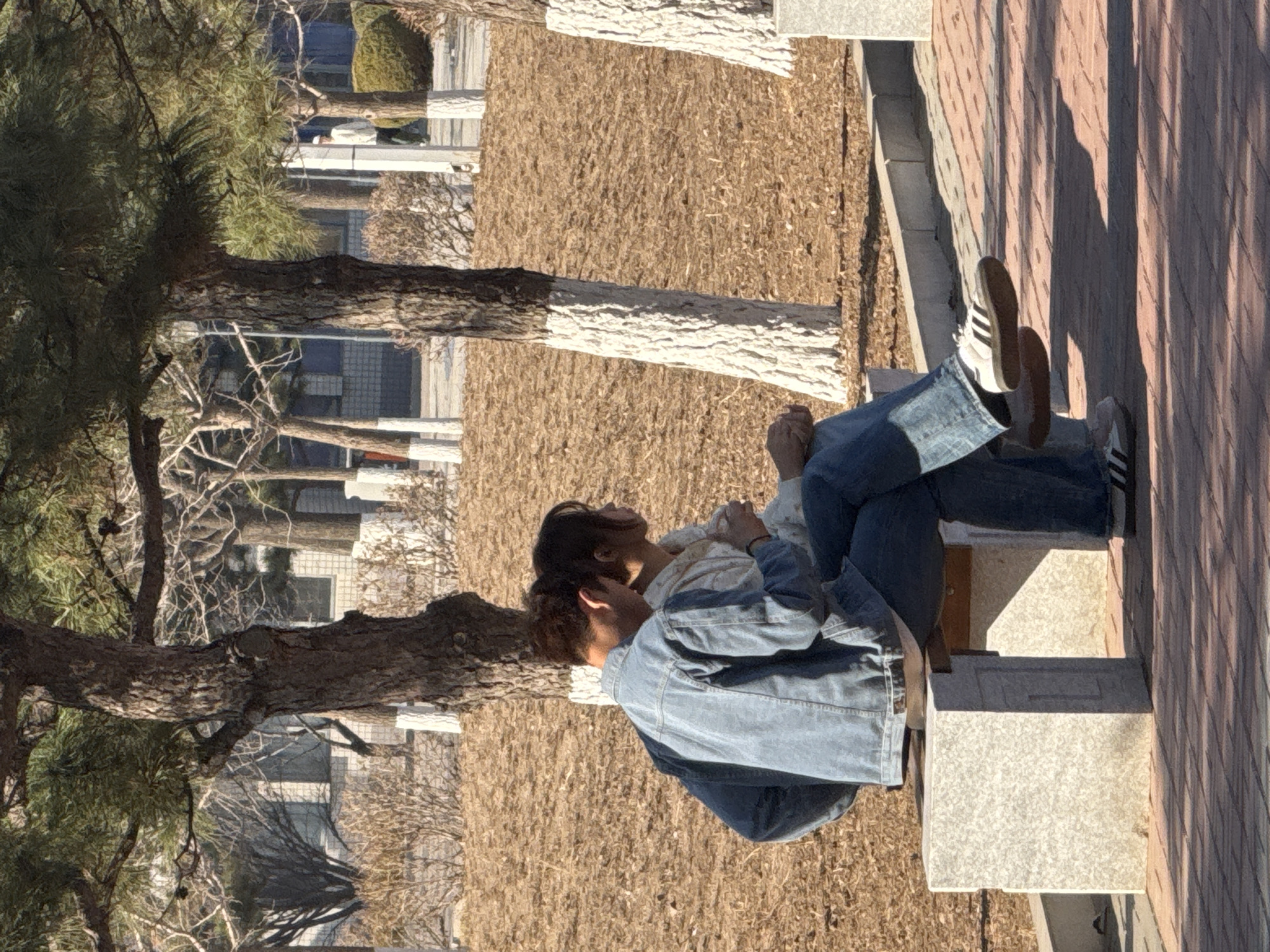 The image depicts an outdoor scene in Zhongtun, China, under direct sunlight. Two individuals are seated on a public bench constructed from light-colored, speckled concrete supports and a wooden seat, situated on a reddish-brown brick pathway. The individual on the left, a male, wears a blue denim jacket, blue jeans, and white athletic shoes with black stripes. The individual on the right, a female, is partially obscured by the male; she wears a light-colored top, dark pants, and has dark hair pulled back. Both individuals are oriented towards the right side of the frame, facing away from the camera. The ground directly behind the bench is covered with dried brown leaves or mulch. Several trees are present throughout the scene; some are pine trees with green needles, while others are deciduous with bare branches. The lower trunks of multiple trees are painted white. In the distant background, a third individual wearing a light-colored top and a white cap is walking amidst trees and modern buildings featuring windows. Elongated shadows are cast across the paved ground from the people and trees.