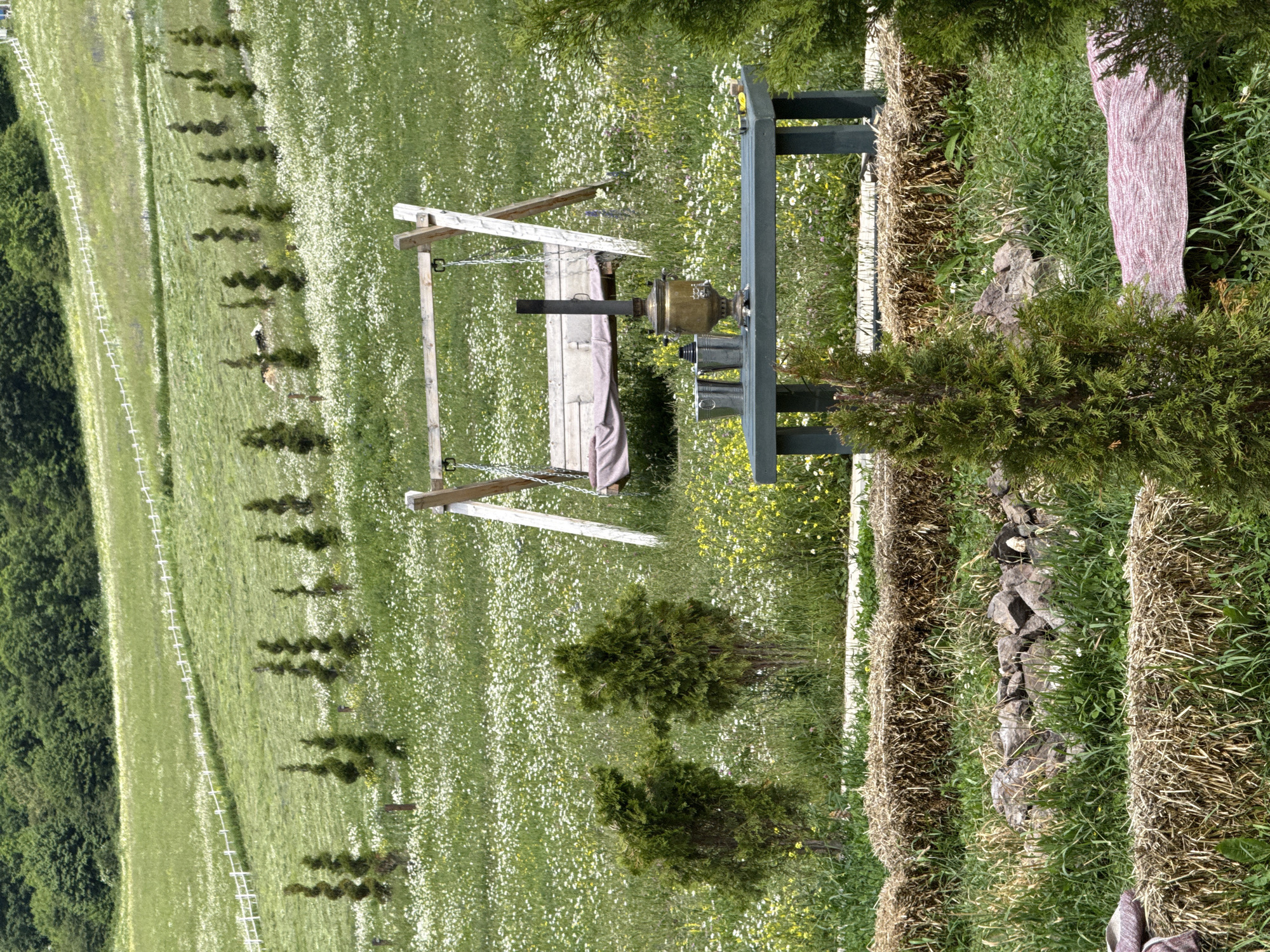A serene, pastoral scene unfolds in Dsegh, Armenia, depicting a garden area with a lush green meadow dotted with white wildflowers stretching into the background. In the mid-ground, a wooden swing set with a faded pink cushion is positioned centrally, accompanied by a dark green picnic table. On the table, a brass samovar stands prominently, flanked by two silver buckets and a small yellow object. Rows of hay bales define the foreground, with a rustic arrangement of stones nestled between them. Several sculpted evergreen trees are strategically placed throughout the scene, adding structure to the natural landscape. A white fence runs along a gently sloping hill in the distance, further accentuating the idyllic setting. The overall impression is one of peaceful outdoor recreation and rural charm.