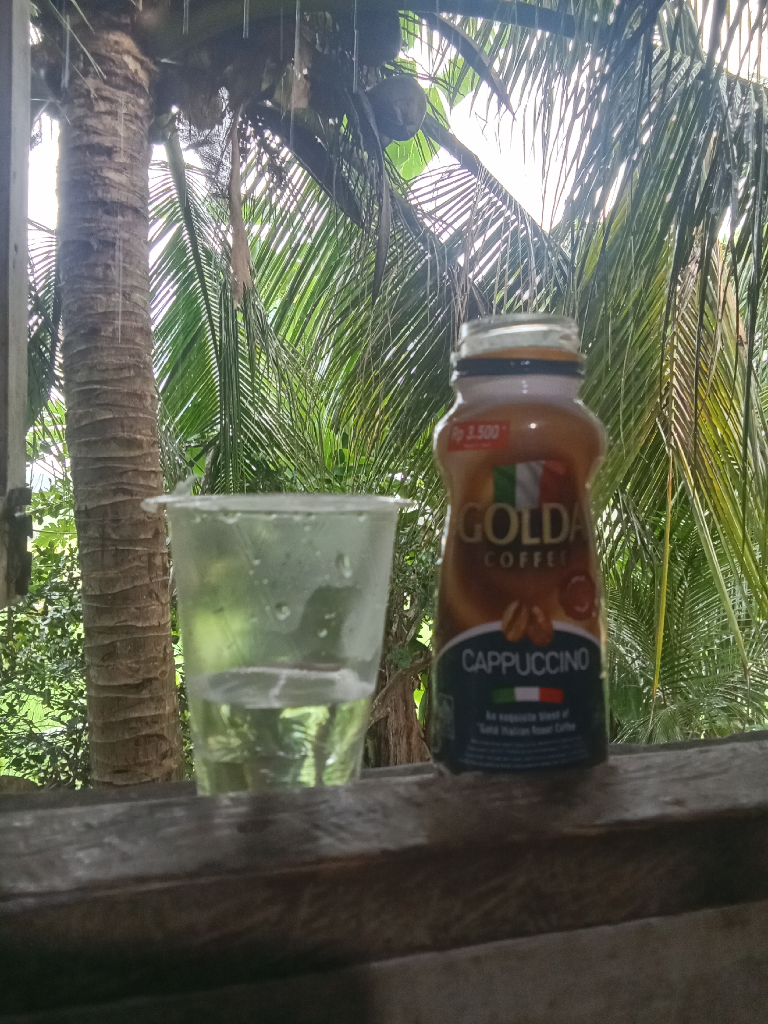 In Buketglumpang, Indonesia, a clear plastic cup filled with water sits on a wooden surface. To the right of the cup is a bottle of Golda Cappuccino. In the background, a coconut tree trunk stands tall, with lush green palm fronds and a bright sky. The overall scene suggests a relaxed outdoor setting, possibly a home or guesthouse in a tropical environment.