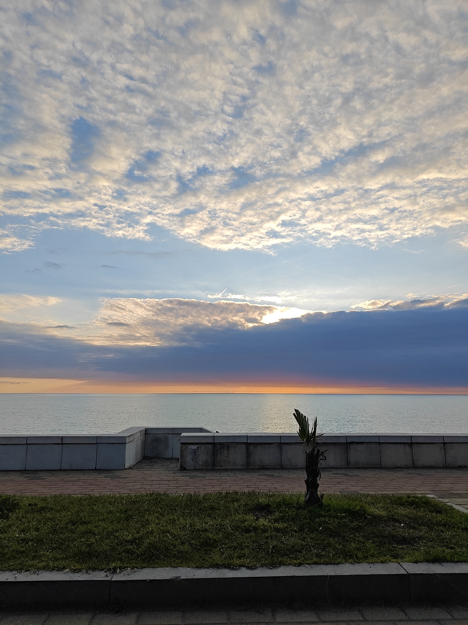 The image presents a serene coastal landscape at either sunrise or sunset. In the immediate foreground, a paved walkway, composed of reddish-brown bricks, runs horizontally across the frame. Adjacent to this is a strip of vibrant green grass, bordered by a dark concrete curb. A small, stubby palm tree trunk, with a few withered fronds at its top, is rooted within this grass patch on the right side.
Beyond the walkway and grass, a sturdy, grey concrete sea wall or barrier extends across the middle ground, separating the land from the vast expanse of the sea. The water appears calm and flat, reflecting the soft light from the sky. At the horizon, a distinct line marks where the sea meets the sky, characterized by a glowing band of orange and purple hues, indicative of the sun's low position.
The sky occupies the upper two-thirds of the image, featuring a dramatic cloud arrangement. Above, numerous small, white and light grey clouds are scattered across a pale blue sky. Below these, a thick, dark grey cloud band stretches horizontally, with a prominent break on the right where bright, warm sunlight penetrates and illuminates the surrounding clouds. This creates a striking contrast between the shadowed clouds and the radiant light.
There are no people or visible text in the image. The scene captures a moment of natural beauty and tranquility, emphasizing the interplay of light, water, and clouds.