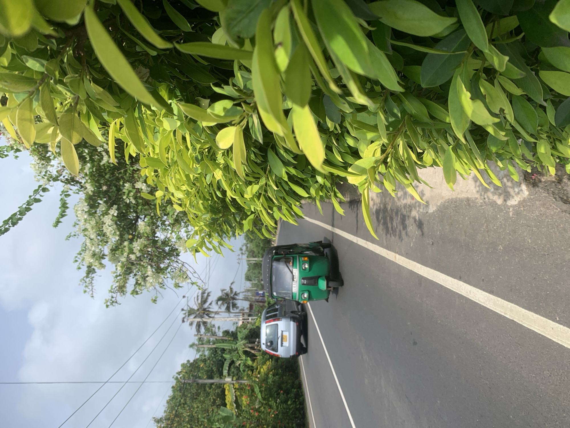 The image depicts a road in Kathaluwa, Sri Lanka, bordered by lush green foliage overhead. A green and black tuk-tuk and a silver van are driving on the road. The sky is overcast. Palm trees and power lines are visible in the distance. A white line marks the edge of the road.