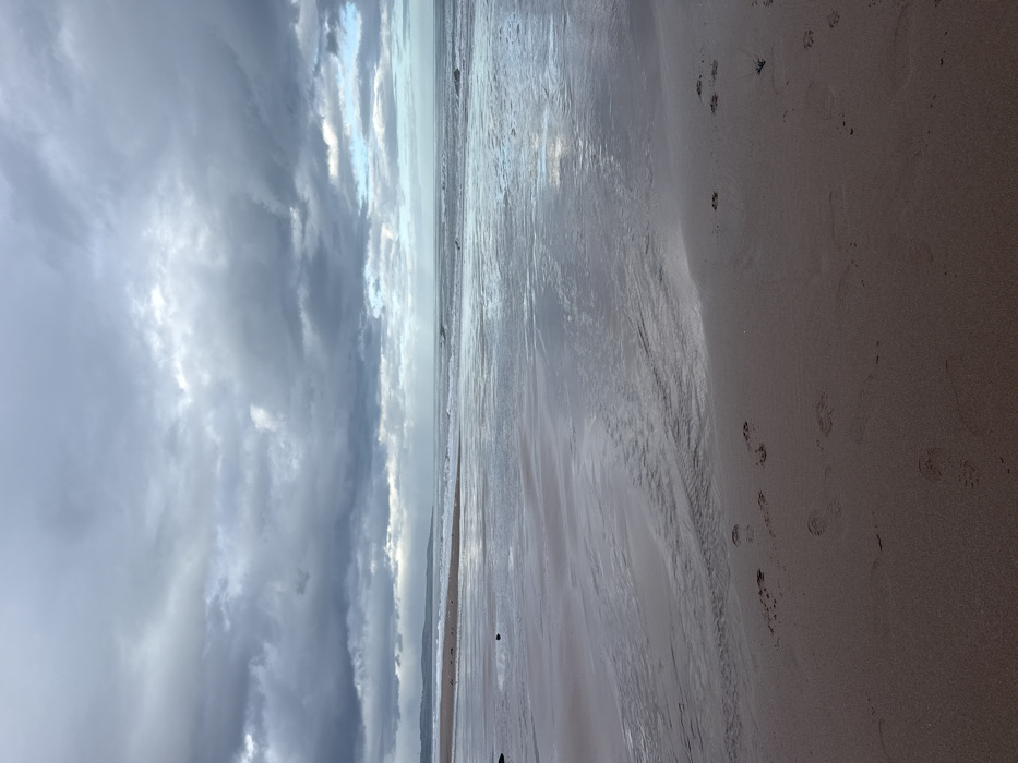 The image depicts a wide-angle view of Montrose Beach, Montrose, United Kingdom, under an overcast sky. The upper two-thirds of the frame are filled with heavy, dark grey clouds, with lighter grey and faint blue patches visible towards the horizon on the right. Sunlight penetrates the clouds in the distance over the North Sea, creating bright reflections on the water's surface.
The North Sea occupies the mid-ground, presenting a dark, reflective appearance with numerous waves breaking towards the shore. The foreground consists of a wide expanse of damp, reddish-brown sand, reflecting the overhead sky. Multiple distinct paw prints, consistent with a canine, are impressed into the wet sand, particularly in the lower right quadrant and extending towards the mid-left. A small dark rock is partially visible in the wet sand on the left side.
In the far distance on the left, a low-lying, dark landmass or coastline is discernible beneath the clouds. A small group of dark specks, identified as birds, rests on a slightly elevated area of sand further along the beach towards this distant landmass. No human figures are present within the scene.