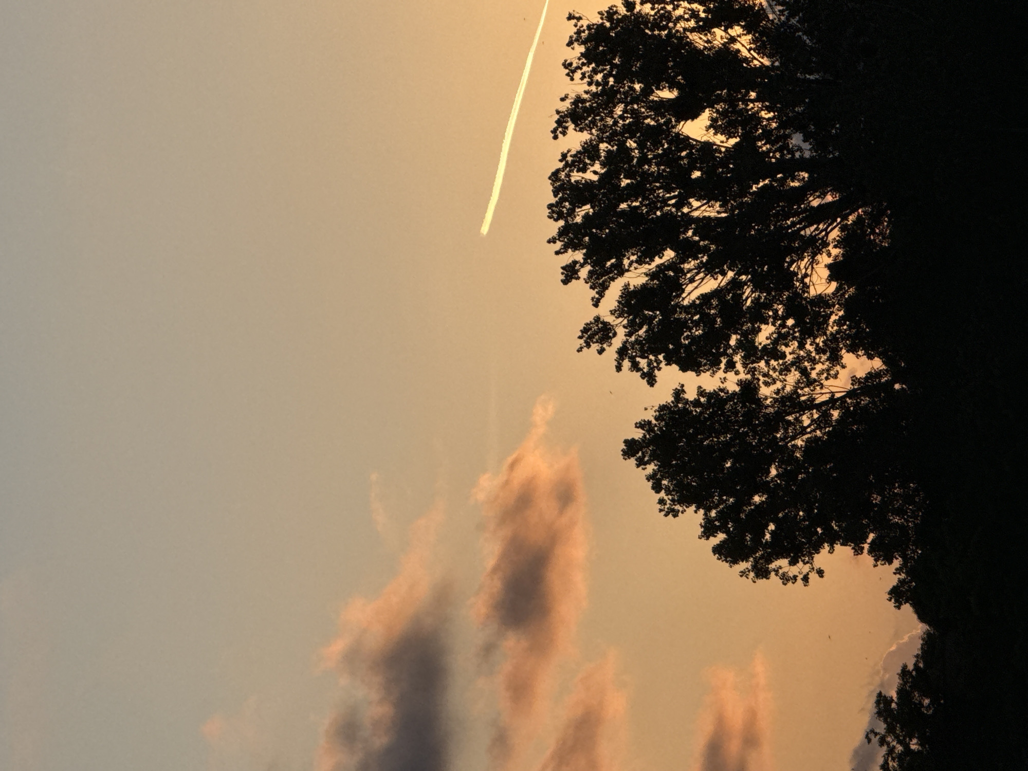 A silhouetted image depicts a sunset sky with hues of orange and pale blue. In the upper right quadrant, a contrail from an aircraft streaks across the sky. The lower portion of the image is dominated by the dark silhouettes of trees, suggesting a natural landscape or park area. The scene is devoid of human presence or identifiable city structures, making it impossible to determine a specific location within Sozopol, Bulgaria.