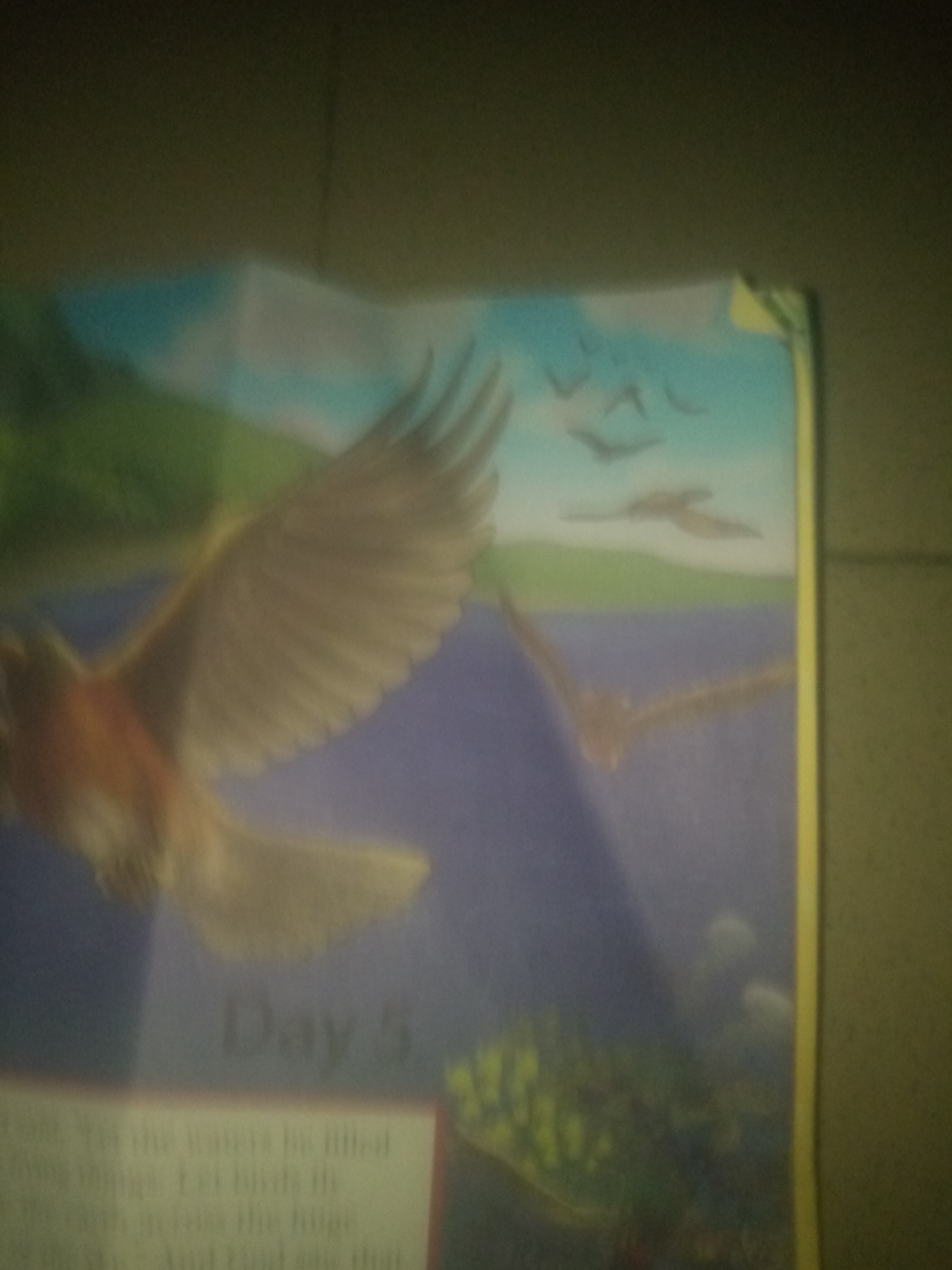 The image is a close-up, blurry photograph of a page from a book. The page depicts a colorful illustration with birds flying in a sky over water and land. In the foreground, a bird with brown and orange plumage and outstretched wings is prominent. The text "Day 5" is visible in the lower middle section of the page. There is also a small section of text below "Day 5" that is difficult to read due to the blurriness. The overall scene appears to be a nature or religious illustration, possibly from a children's book. The image does not provide any specific details or context related to Jauro Yinu, Nigeria.
