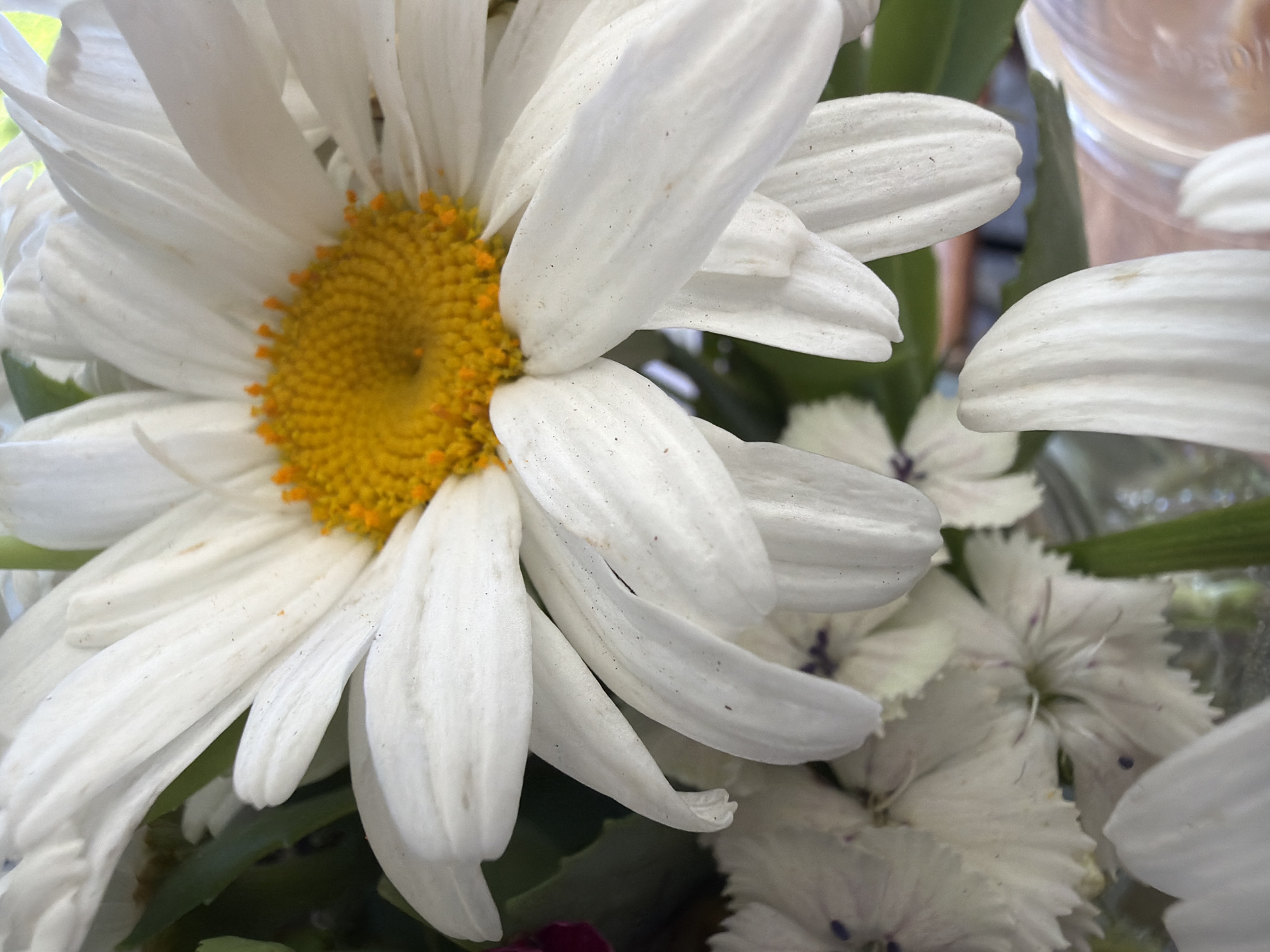 The image is a close-up shot of a bouquet of white flowers, with a prominent daisy in the foreground. The daisy has bright yellow and orange petals in the center and large white petals fanning out. Other white flowers with delicate, fringed petals and hints of purple in their centers are visible in the background. Some green foliage is interspersed among the flowers. The overall impression is one of delicate floral beauty. The lighting suggests natural daylight, possibly indoors near a window or outdoors. The background is slightly blurred, keeping the focus on the flowers. There are no people or identifiable structures in the image.