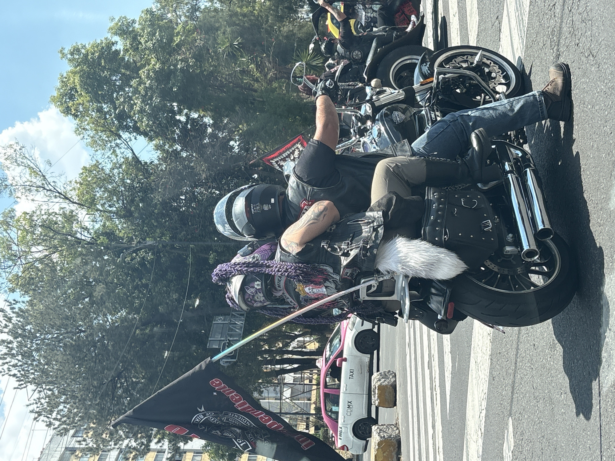 The photograph shows a group of motorcyclists stopped at a crosswalk on a street in Mexico City, Mexico. One motorcyclist, wearing a helmet, vest, jeans, and boots, sits on a black motorcycle with chrome accents and black studded leather saddlebags. The motorcycle has a large white furry tail attached to the back and a black flag that says "Independiente de Bike 1969 Sus." A taxi, painted white and pink, is parked behind the motorcycle. The scene is set outdoors on a sunny day, with trees visible in the background and a partially cloudy sky.
