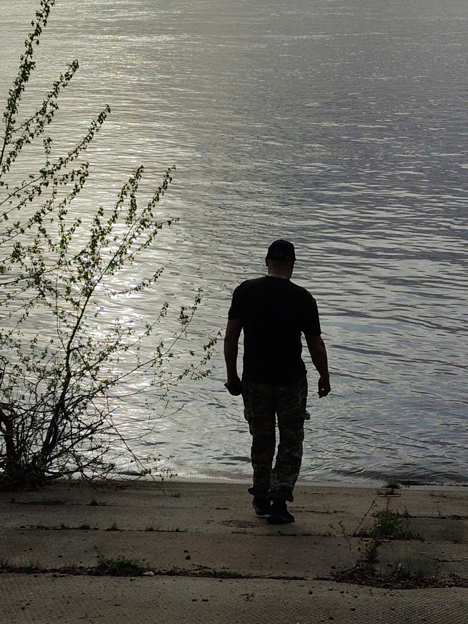 A man in a black shirt, camouflage pants, and a cap is walking away from the viewer toward the water's edge. To his left is a small tree with sparse foliage. The water surface reflects sunlight. The location appears to be a concrete embankment.