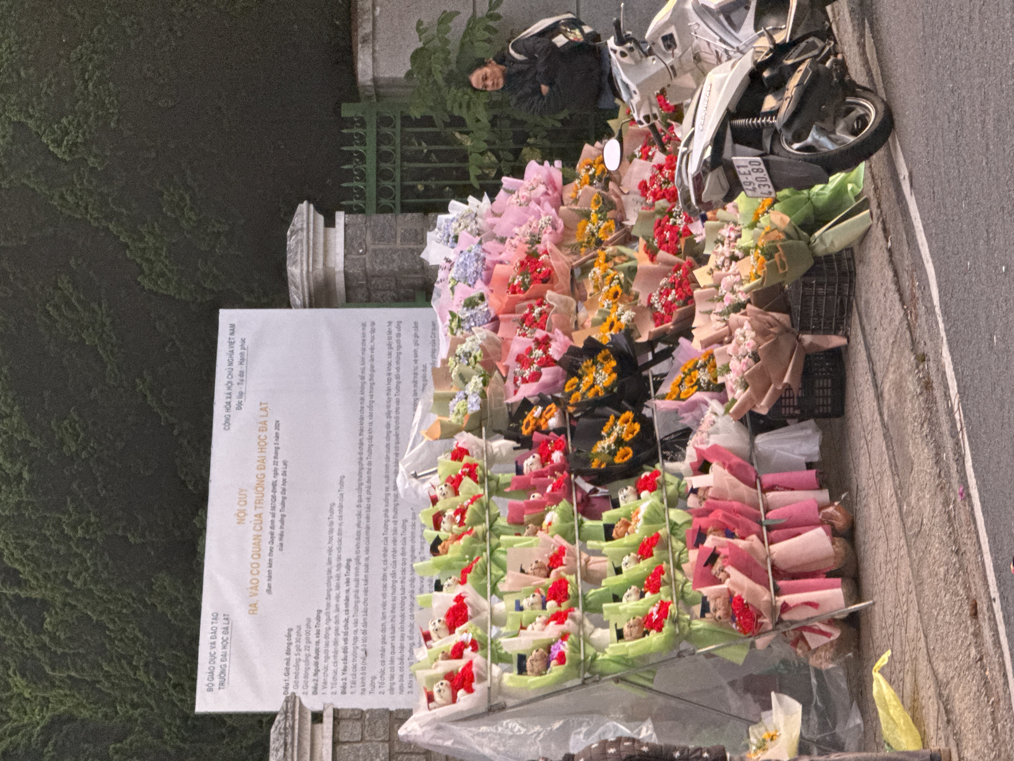 A street vendor displays bouquets of teddy bears and flowers in front of a sign with Vietnamese text. The sign, located at the entrance to a school or university, lists internal regulations. The bouquets are arranged on metal racks, with some featuring graduation caps on the teddy bears, suggesting they are graduation gifts. Several large bouquets of colorful flowers are also present, some wrapped in pink and peach paper. A woman stands to the right of the display, looking away from the camera. A white scooter is parked nearby, with its license plate visible. The scene appears to be in Da Lat, Vietnam, given the presence of the school name "Trường Đại học Đà Lạt" (Da Lat University) on the sign. The background consists of a lush green hillside covered with trees. The pavement in the foreground is made of grey cobblestones.