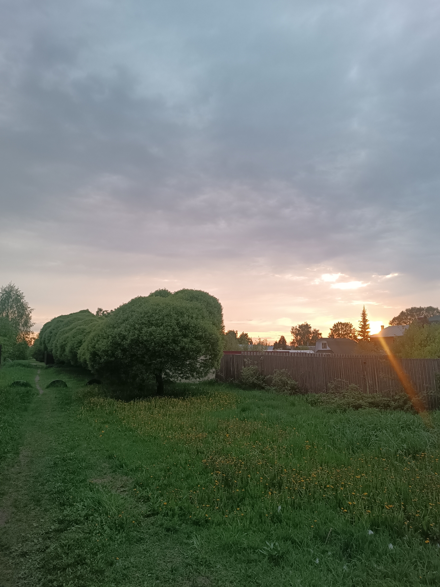 The image depicts a landscape scene, likely captured in the city of Motyakovo, Russia based on the presence of Russian vernacular architecture and vegetation. A row of round, dense, green trees lines the left side of the frame, bordering a grassy path. The path appears to be a dirt track winding through a field of grass and yellow wildflowers.
To the right, a weathered wooden fence stretches across the midground, partially obscuring a residential area. Rooftops of houses and various trees are visible beyond the fence. The sun is setting on the horizon, casting a warm glow and a sunbeam streaking across the right side of the scene. The sky is overcast with grey and pink clouds. No people or animals are immediately apparent. The scene appears to be a rural or suburban area on the outskirts of the city.