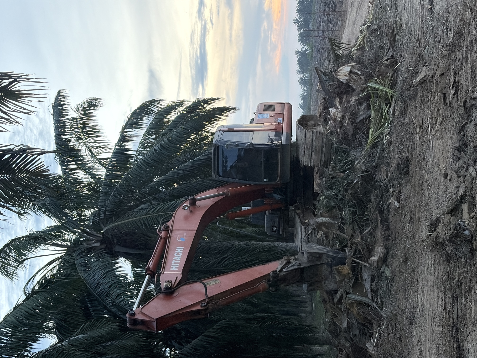 An excavator is present among palms in a deforested area of Simpangempat, Indonesia. The machine is red-orange and features the "Hitachi" logo. The excavator appears to be operating in an area with cleared vegetation, with the sky visible in the background.