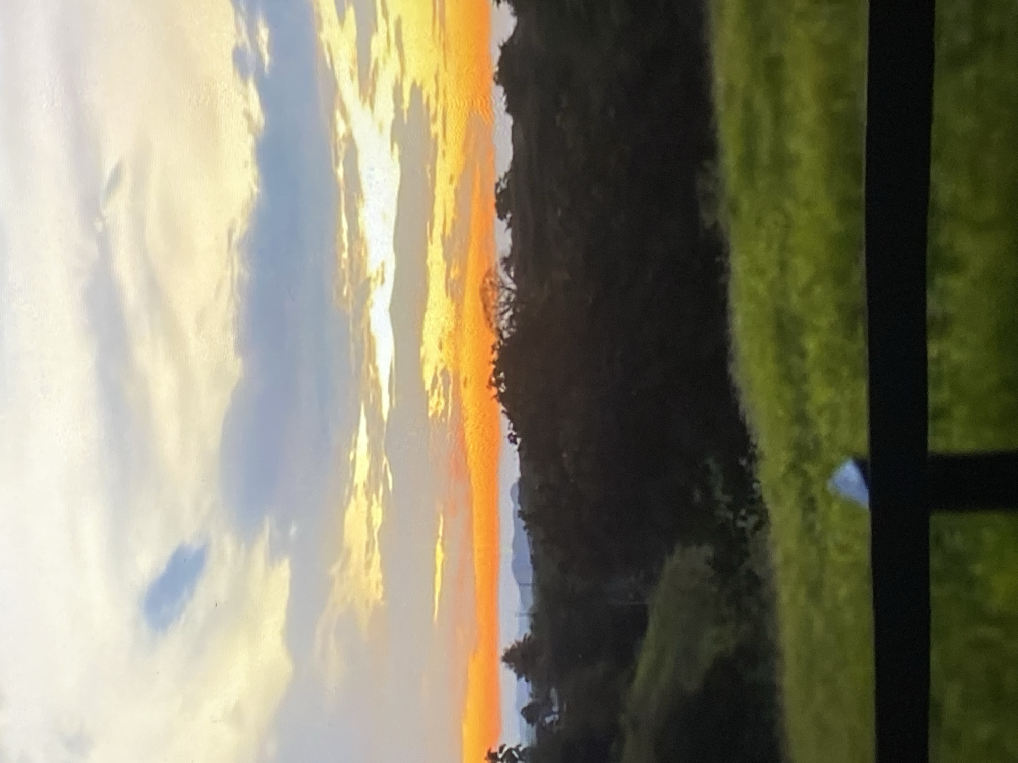 The image depicts a rural landscape at sunset, likely in the vicinity of Tinaquillo, Venezuela. A vibrant orange and yellow horizon is visible above a dark, silhouetted line of trees and hills. The sky is filled with soft, diffused clouds, tinged with blue and white, suggesting the end of daylight. In the foreground, a lush green field slopes downwards, separated by a dark, horizontal fence. The overall impression is one of natural beauty and tranquility.