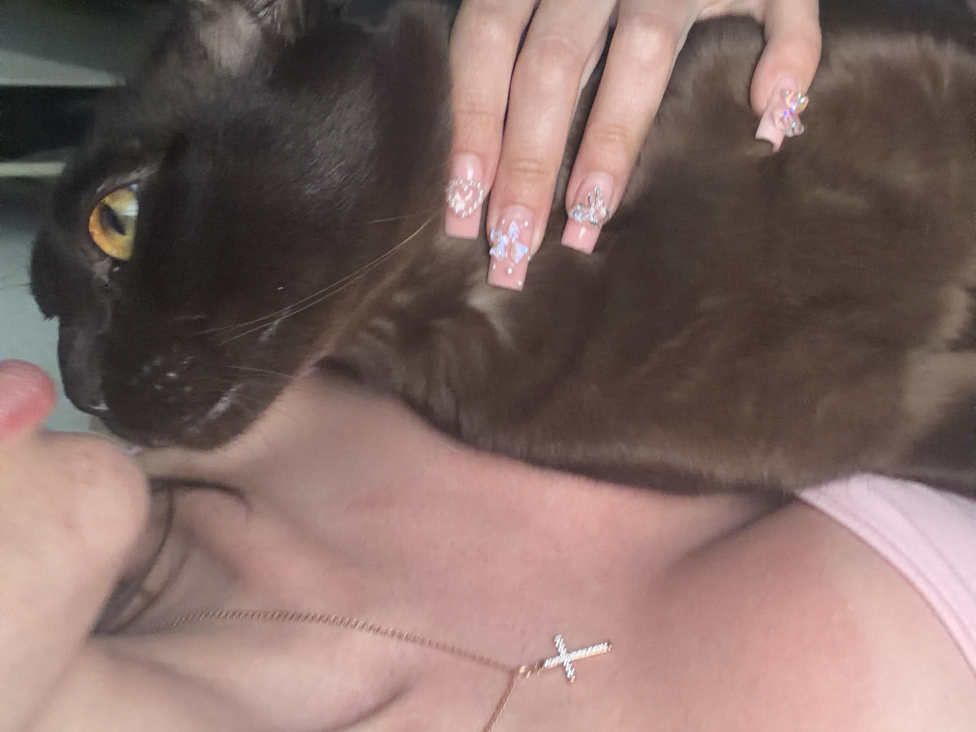 The image shows a close-up view of a person's upper body, including their neck, décolletage, and a portion of their face, interacting with a dark brown cat. The person is wearing a pink top and a rose gold necklace with a cross pendant. The cat's head is near the person's face, and its eyes are visible, appearing yellow-orange. The person's hand, adorned with pink acrylic nails featuring rhinestone embellishments in the shape of butterflies and hearts, is gently holding the cat. The background is dark and out of focus, making it difficult to discern any specific environmental details. There is no discernible indication of the city of Novosaratovka, Russia, or any other specific location. The scene appears to be an intimate moment between a person and their pet.